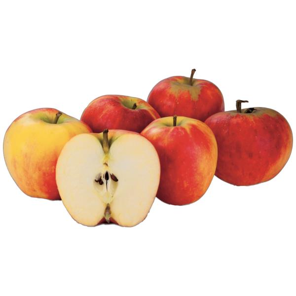 Elstar jablká 1. tr. 1 kg