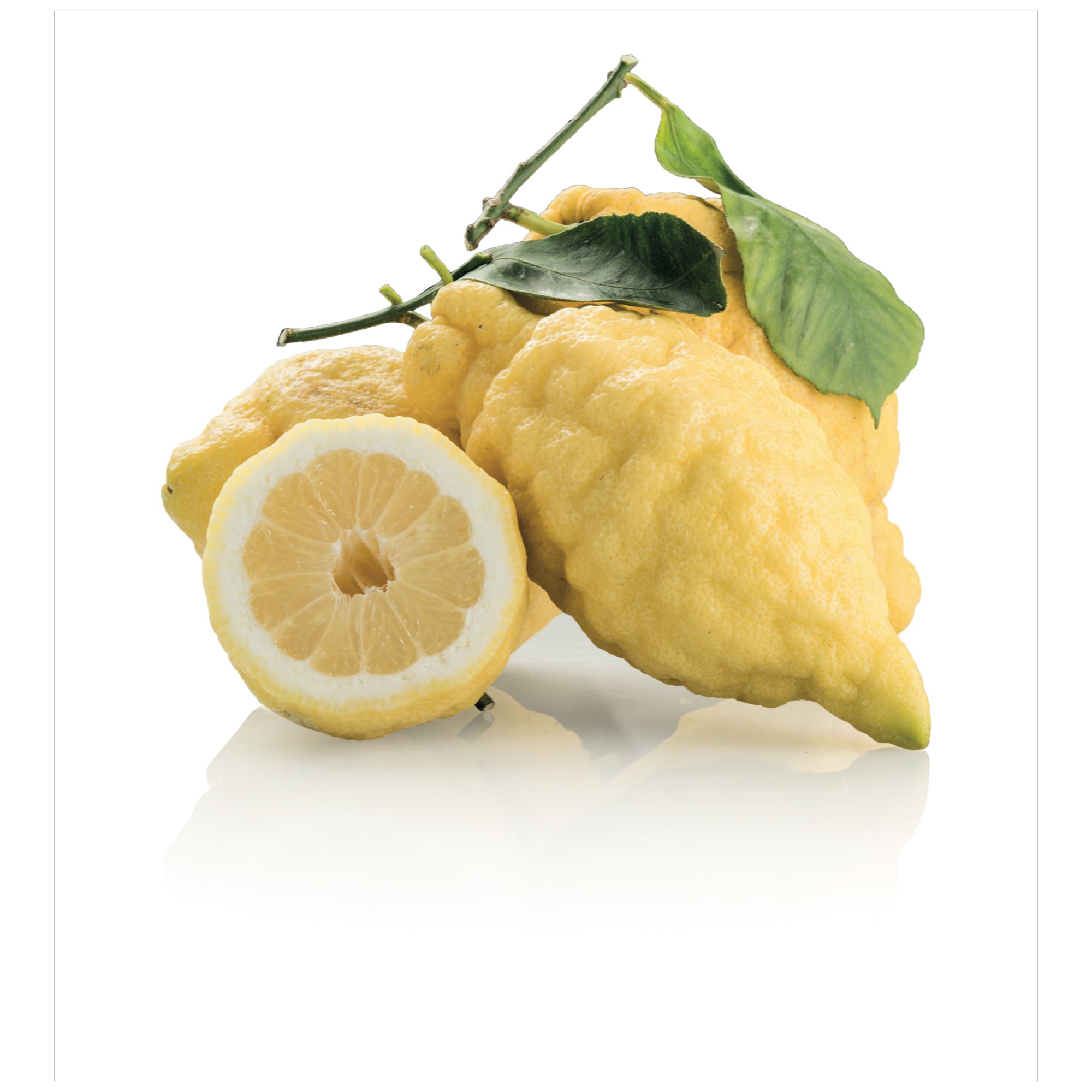 Amalfi Zitronen mit Blatt  KL.1