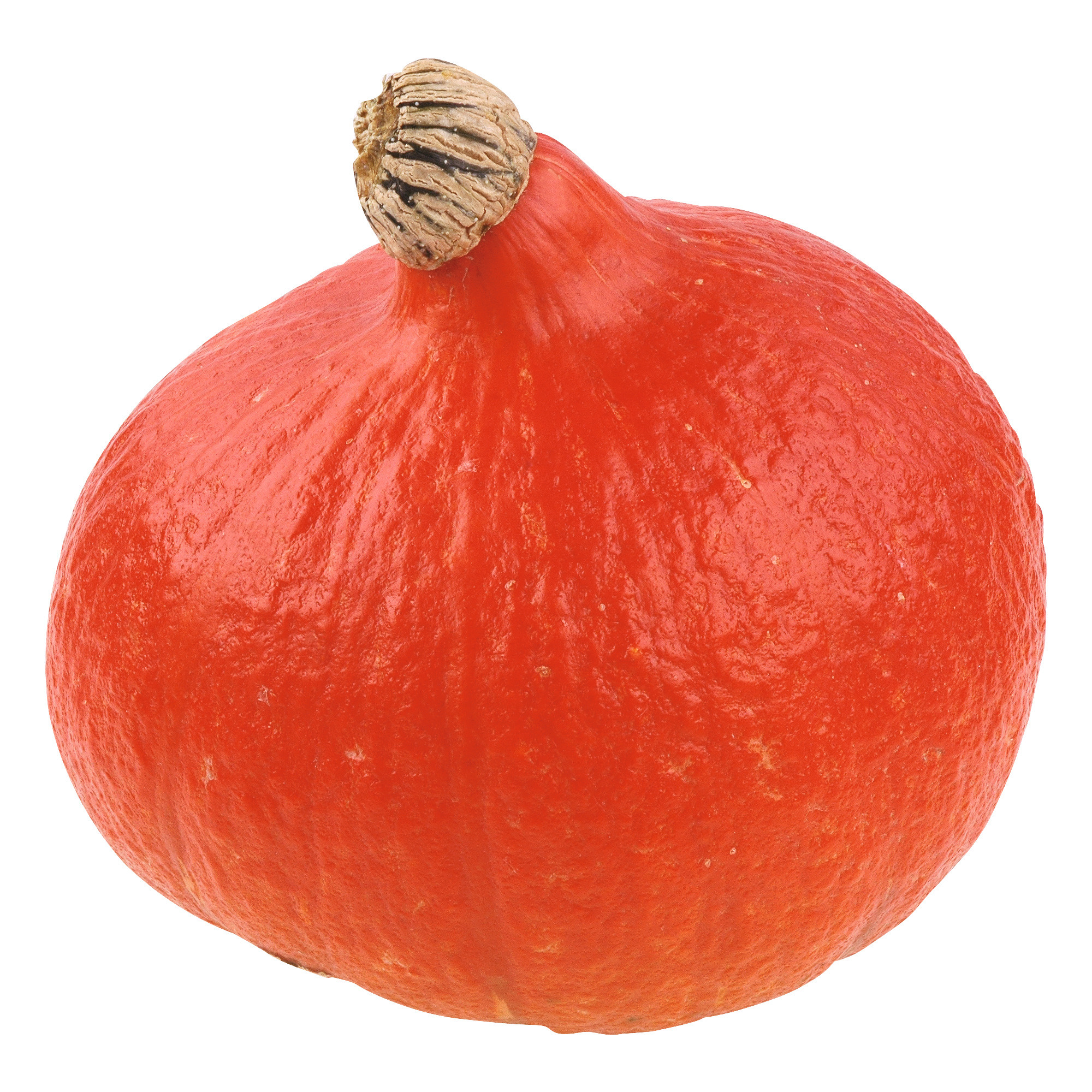 Hokkaido tekvica 1.tr. 1kg