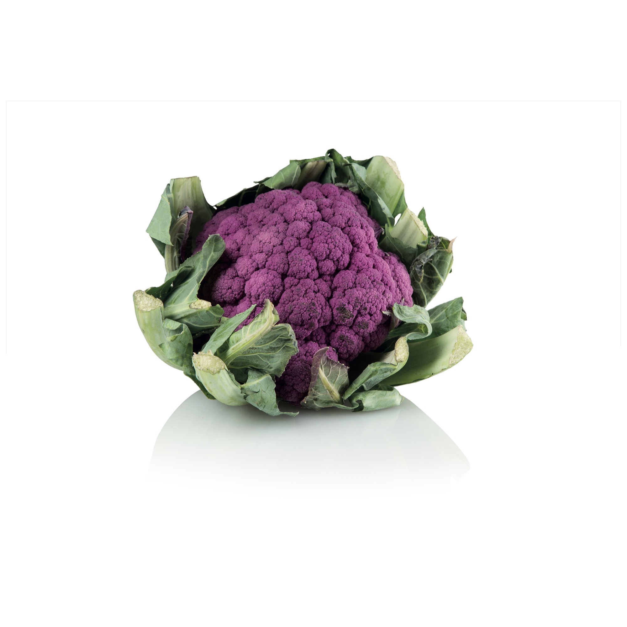 Blumenkohl violett KL.1