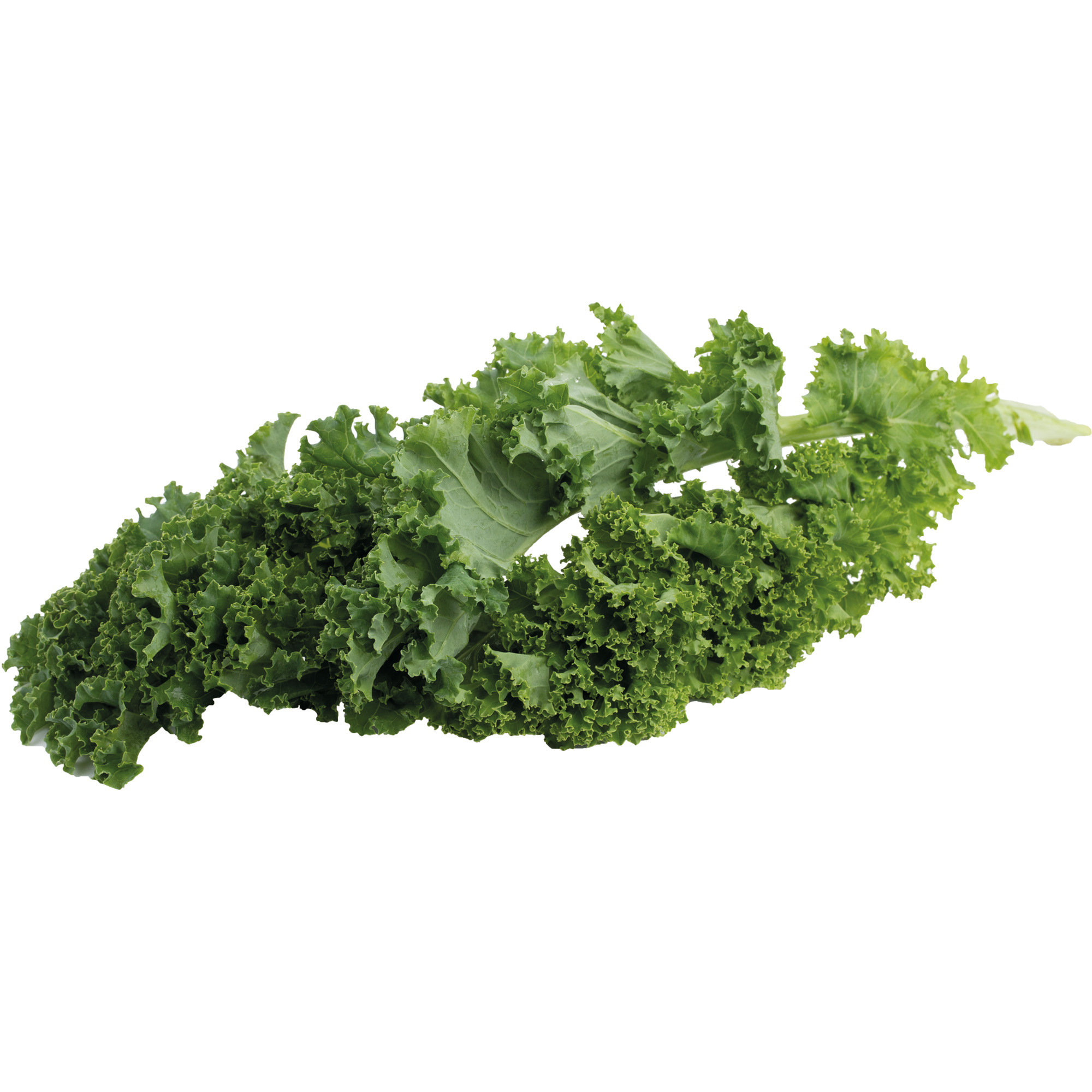Kapusta zelená 1.tr. 1kg