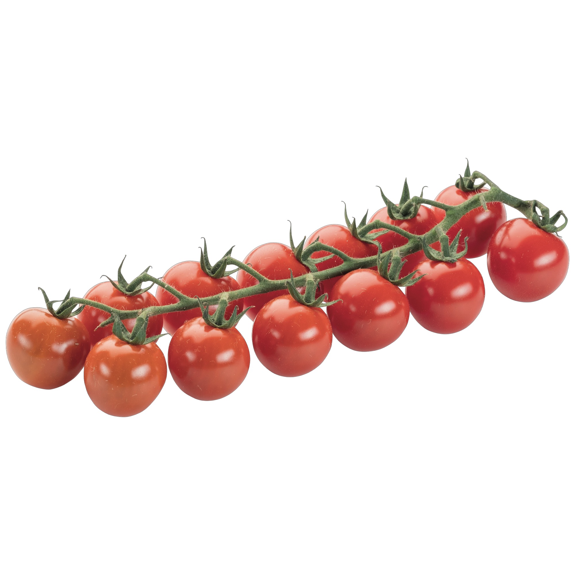 Cherry paradajky červené 1.tr.