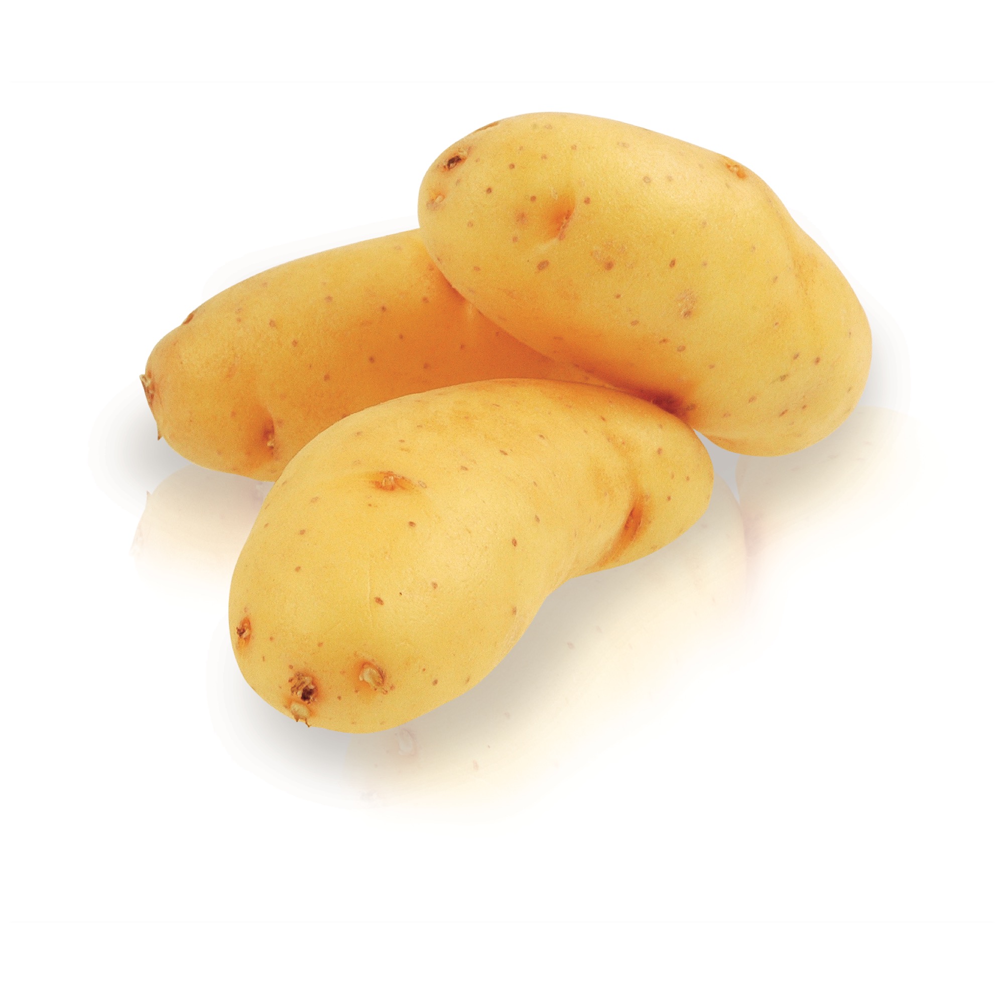 Kartoffel La Ratte KL.1   1kg