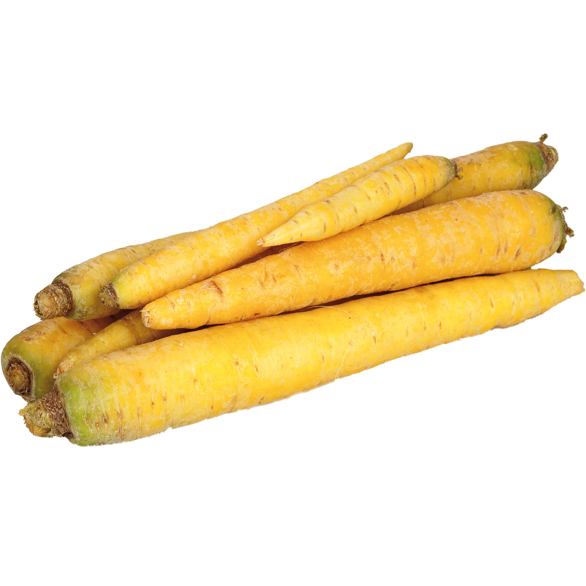 NFU Bio gelbe Rüben KL.2