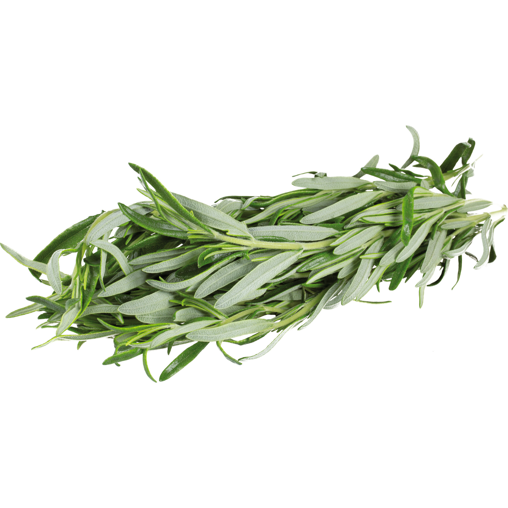 Quality Rosmarin KL.1   250g