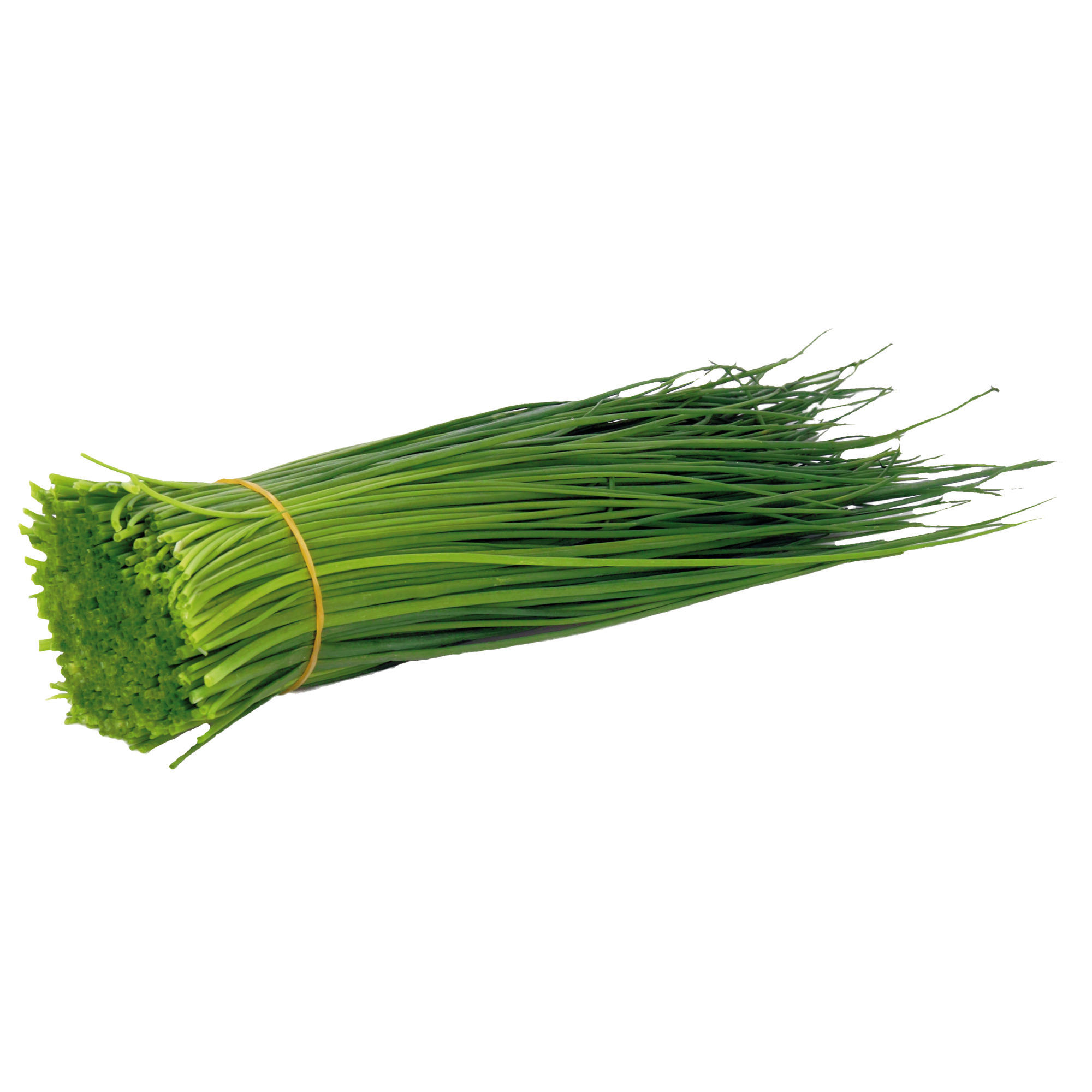 Pažítka KL.1     150g