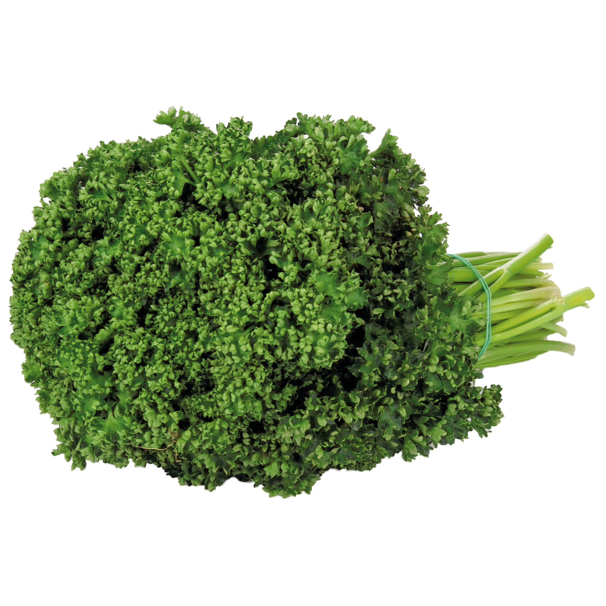 Petržl. vňať ozdobná 1. tr. 500 g
