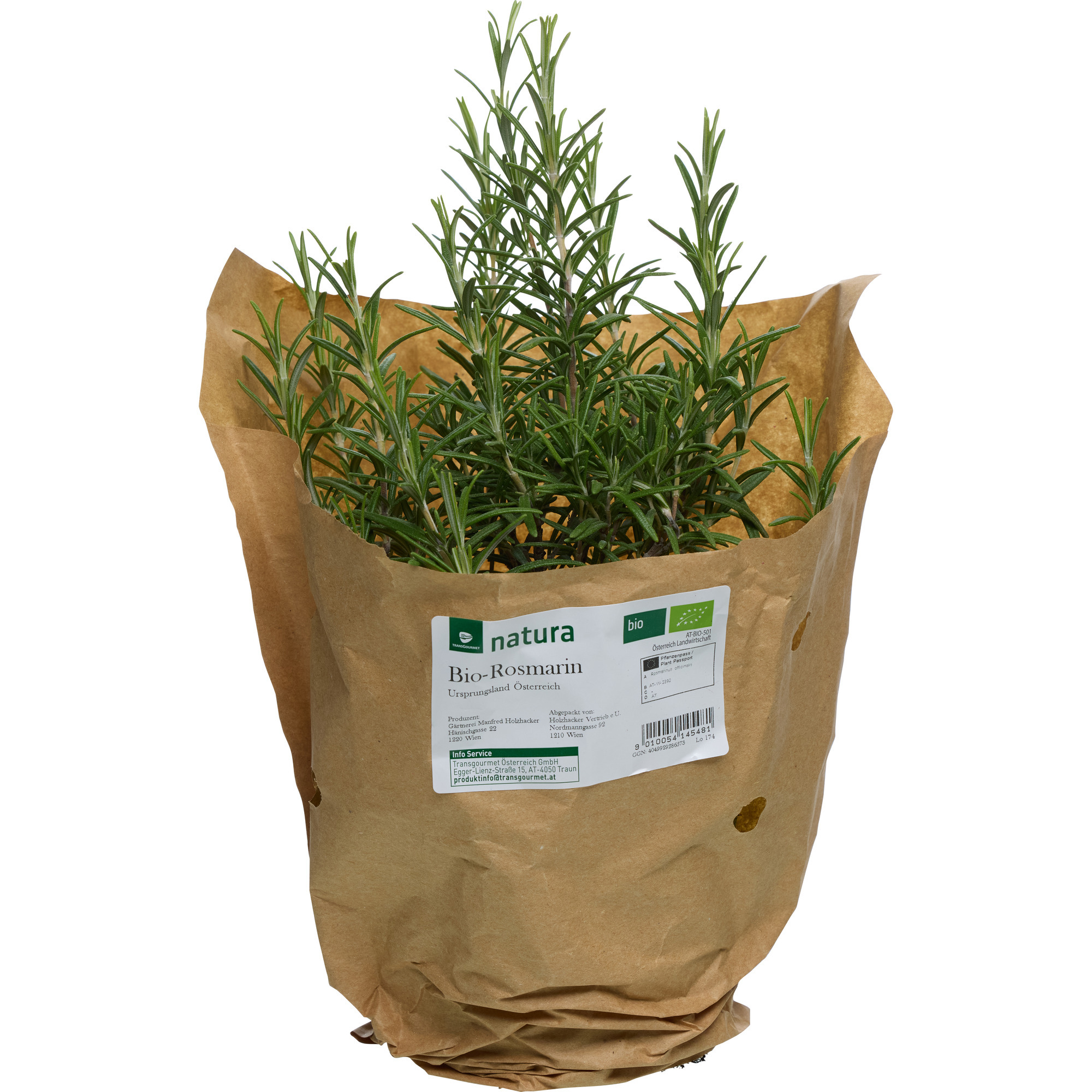 Natura Bio Rosmarintopf KL. 2