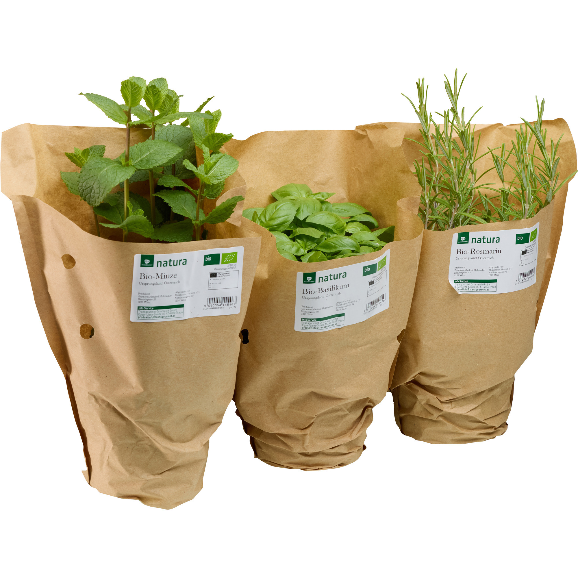 Natura Bio Kräutertopf Mix KL. 2
