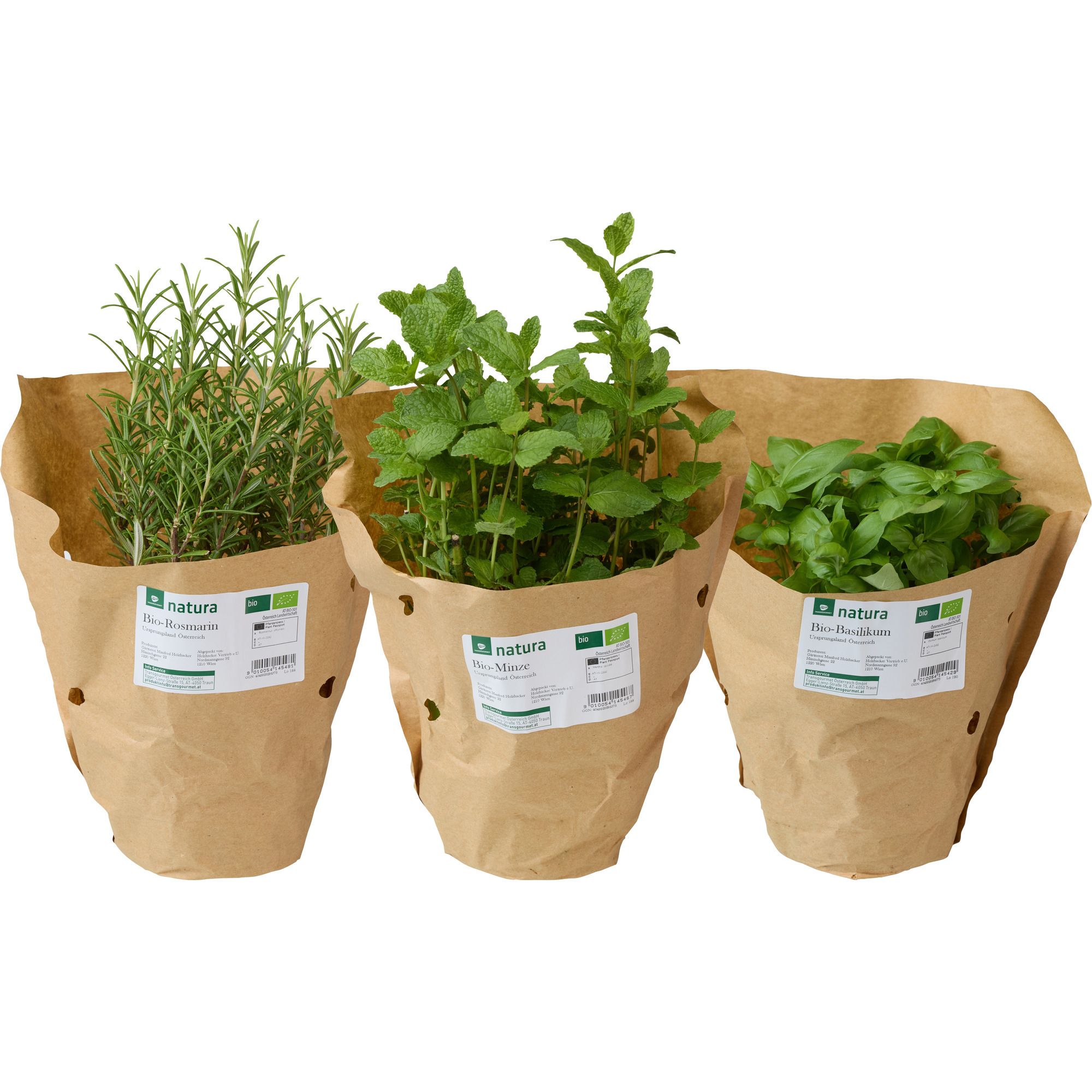 Natura Bio Petergrüntopf Mix KL. 2