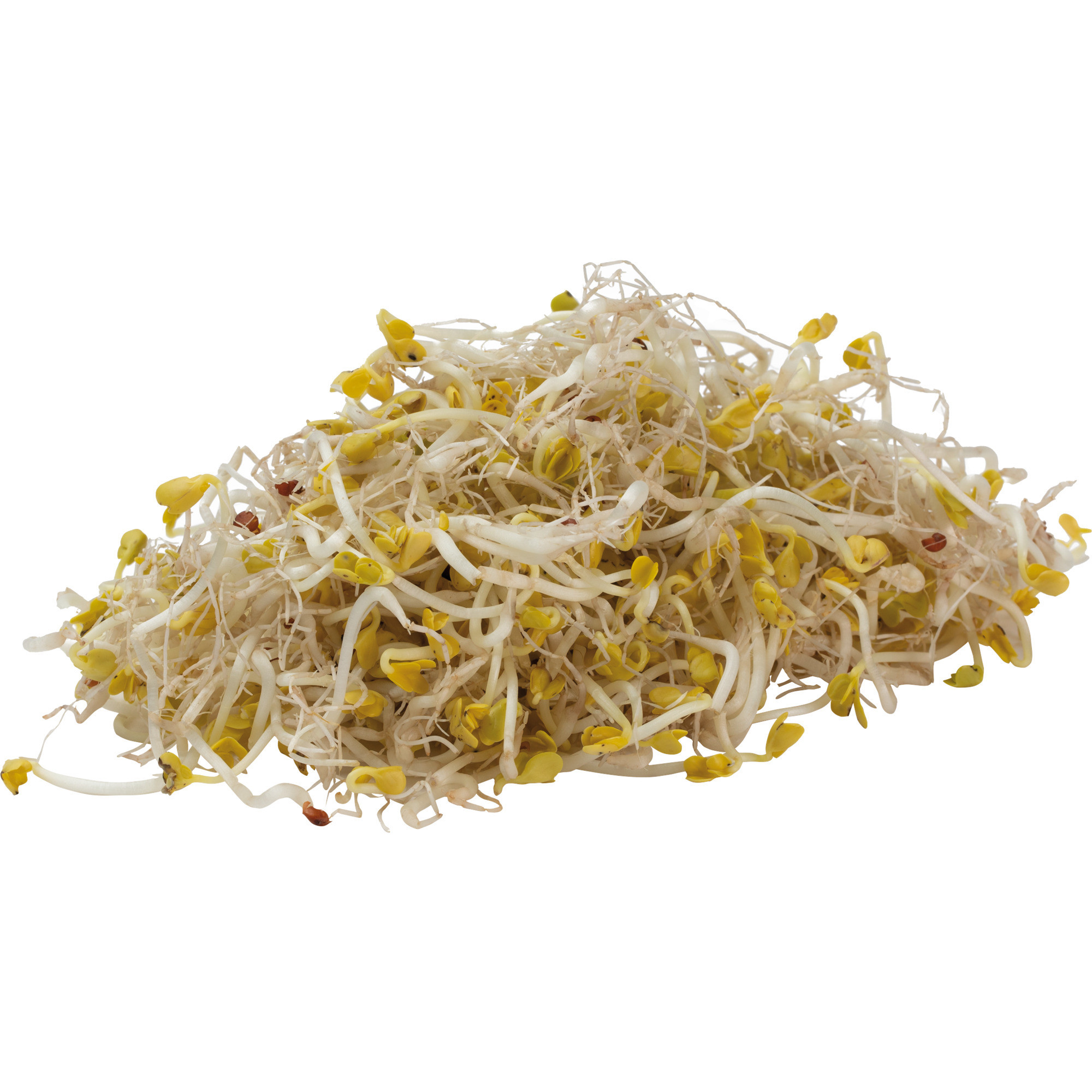 Radieschensprossen KL.1     100g