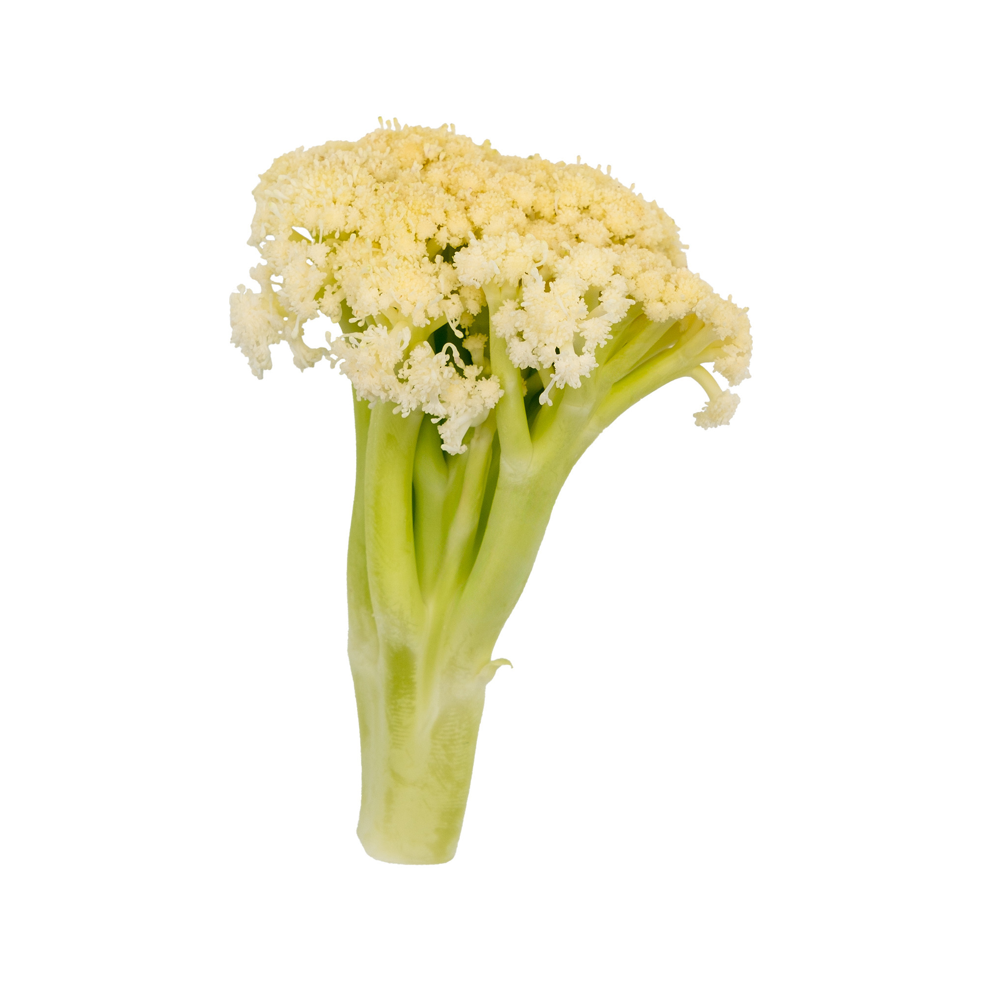 KLH Wilder Blumenkohl   KL.1   300g