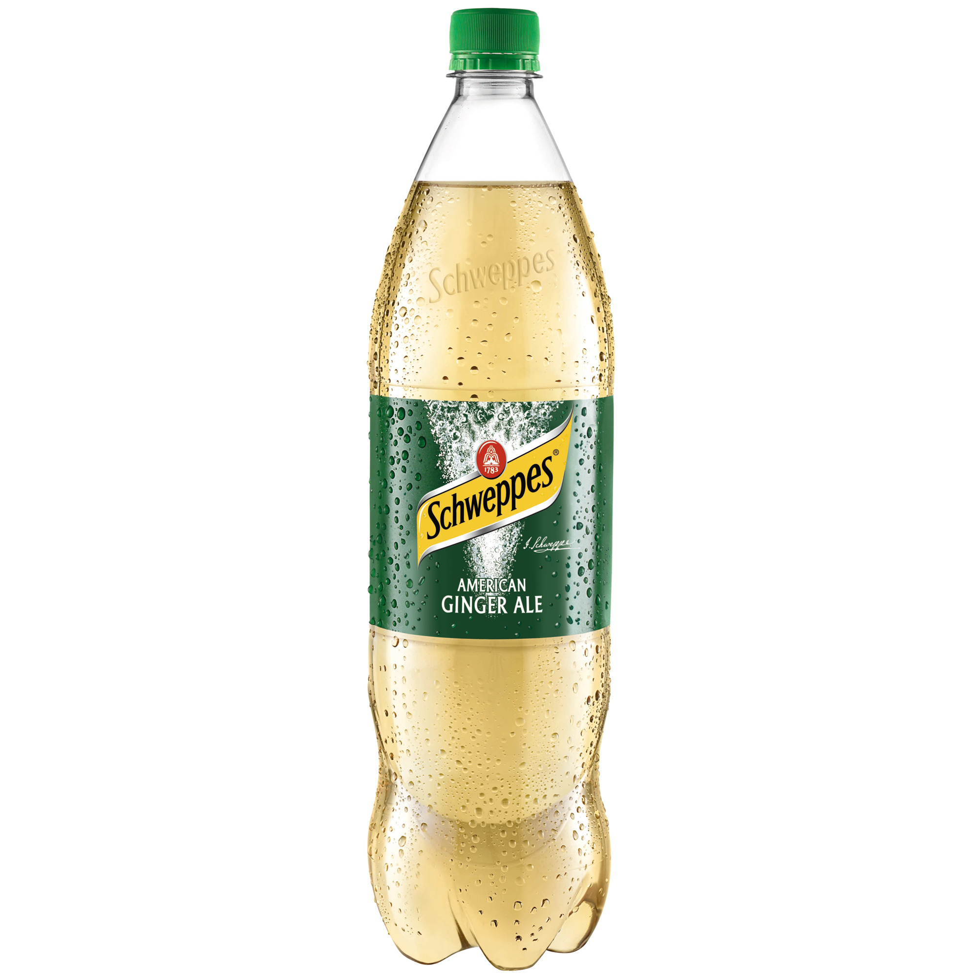 Schweppes PET 1,25l EWP, Ginger Ale