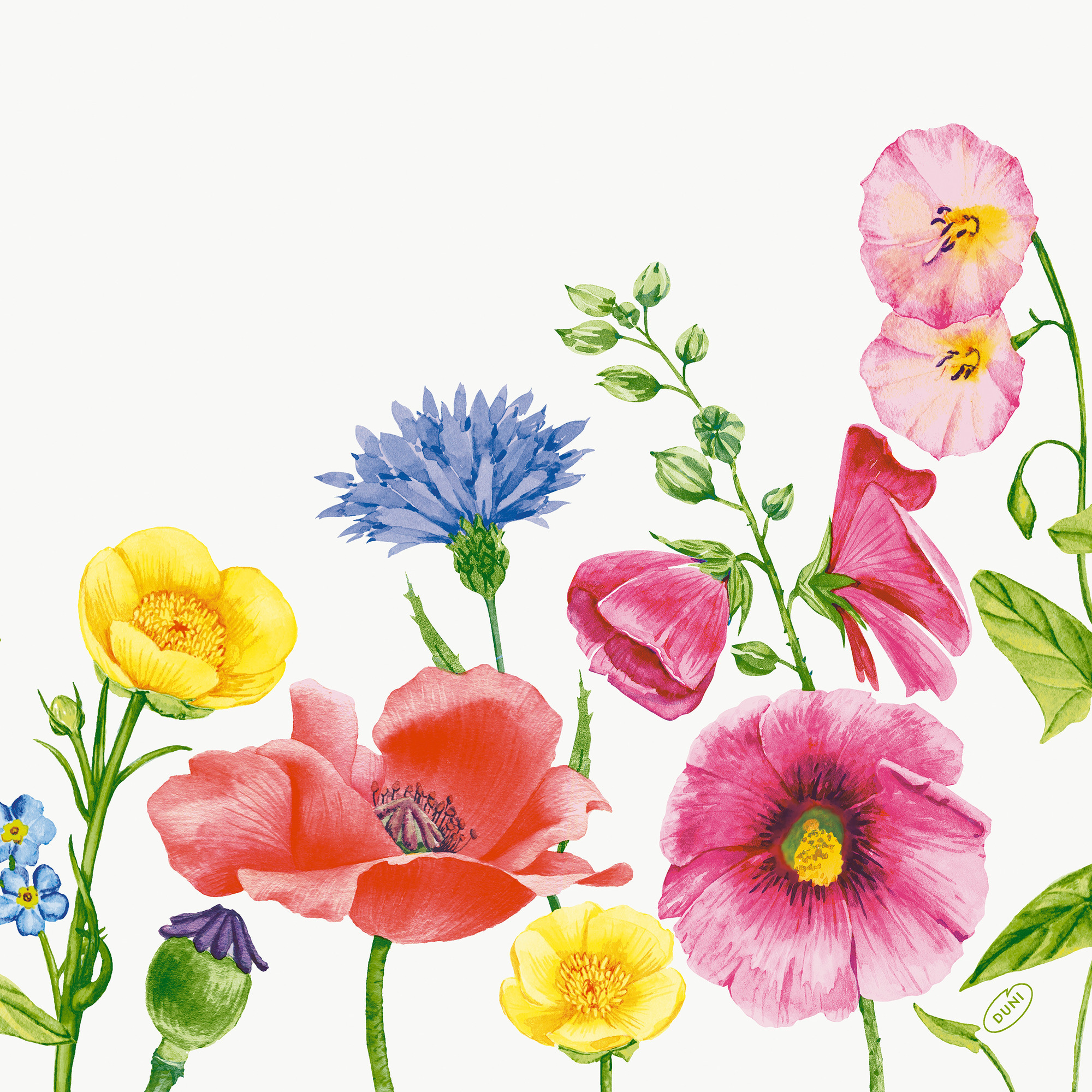Bio Dunisoft Serv.40/60er, Flowy Meadow