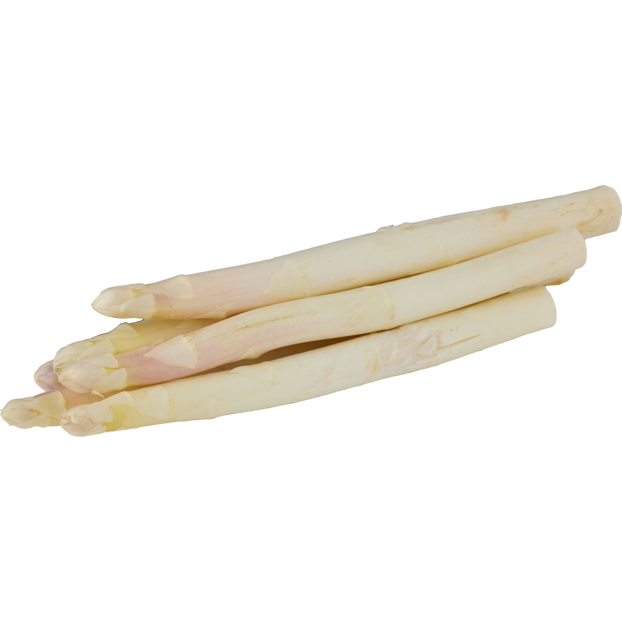 Bio Spargel weiss/violett KL.2   15mm+