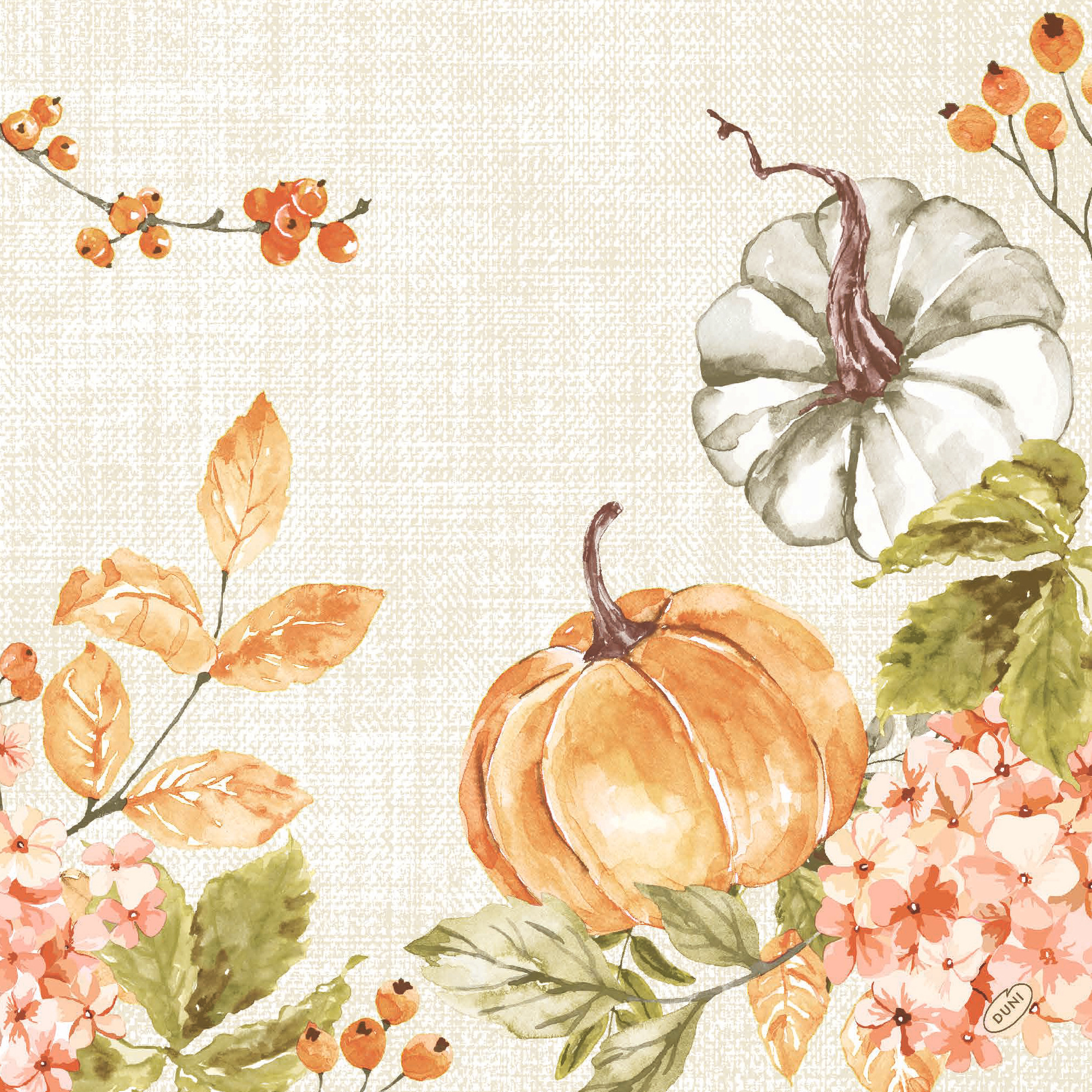 Bio Dunisoft Serv.40/60er, Spicy Pumpkin