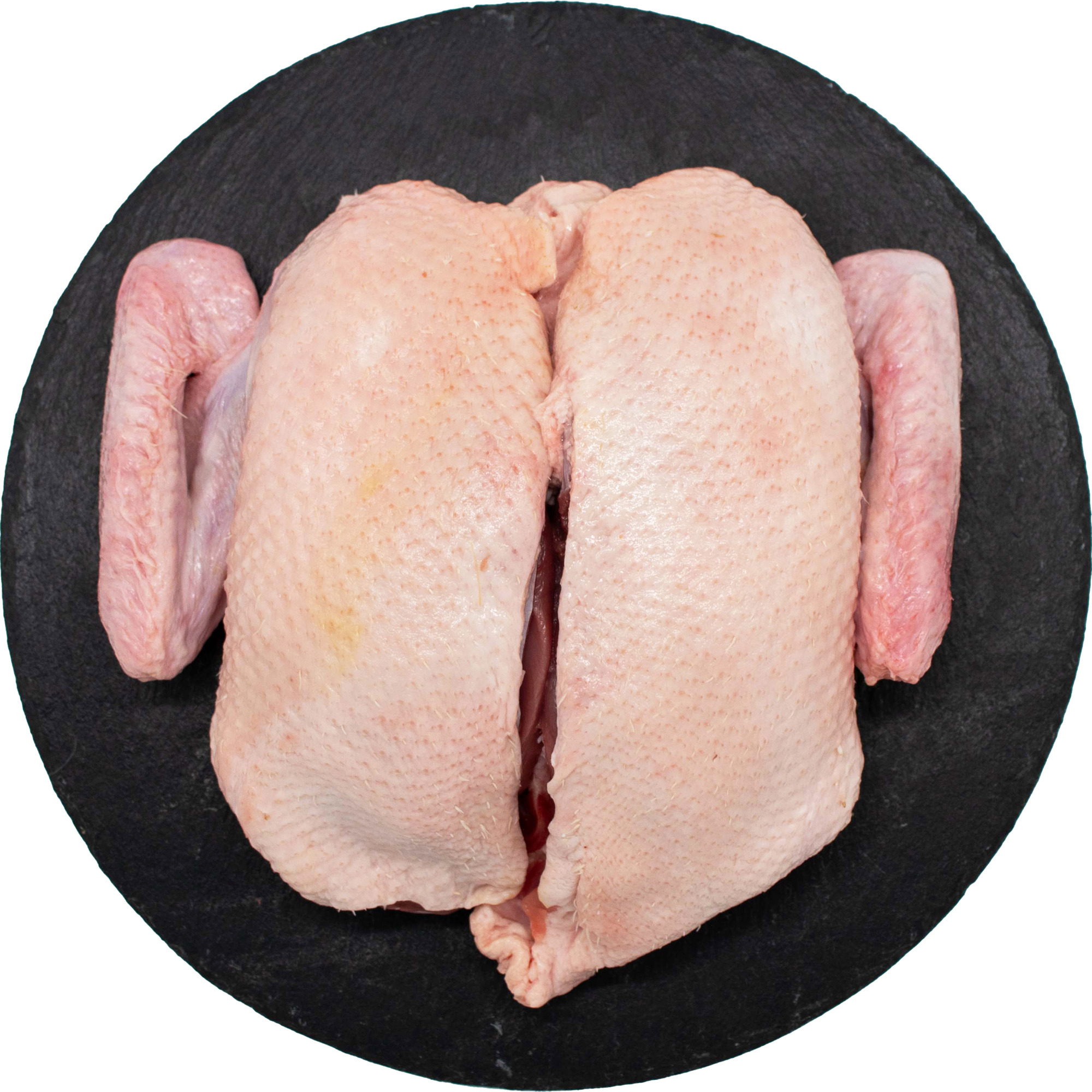 Ente hohl ausgel. AT ca.1,8kg