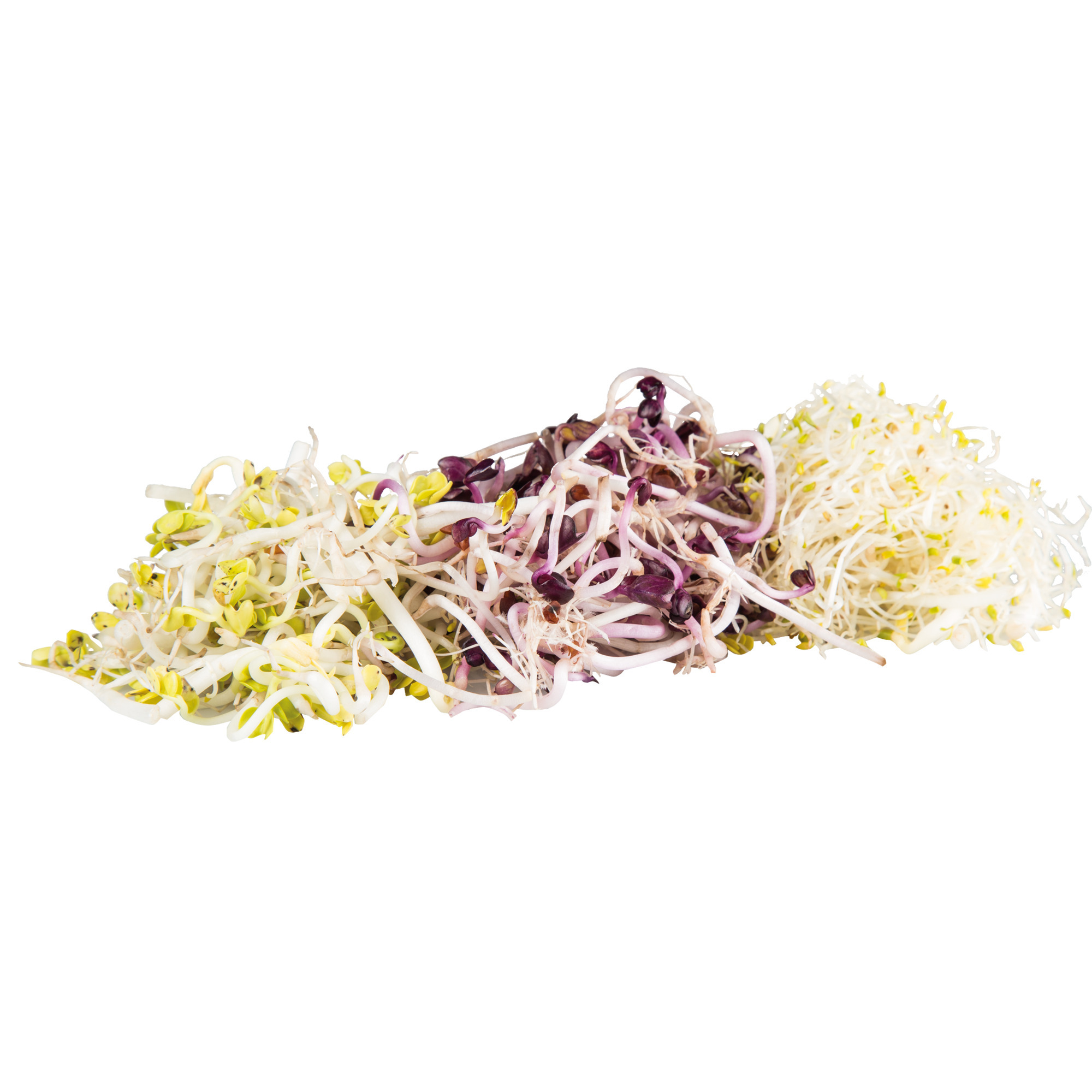 Bio Sprossenmix KL2 60g