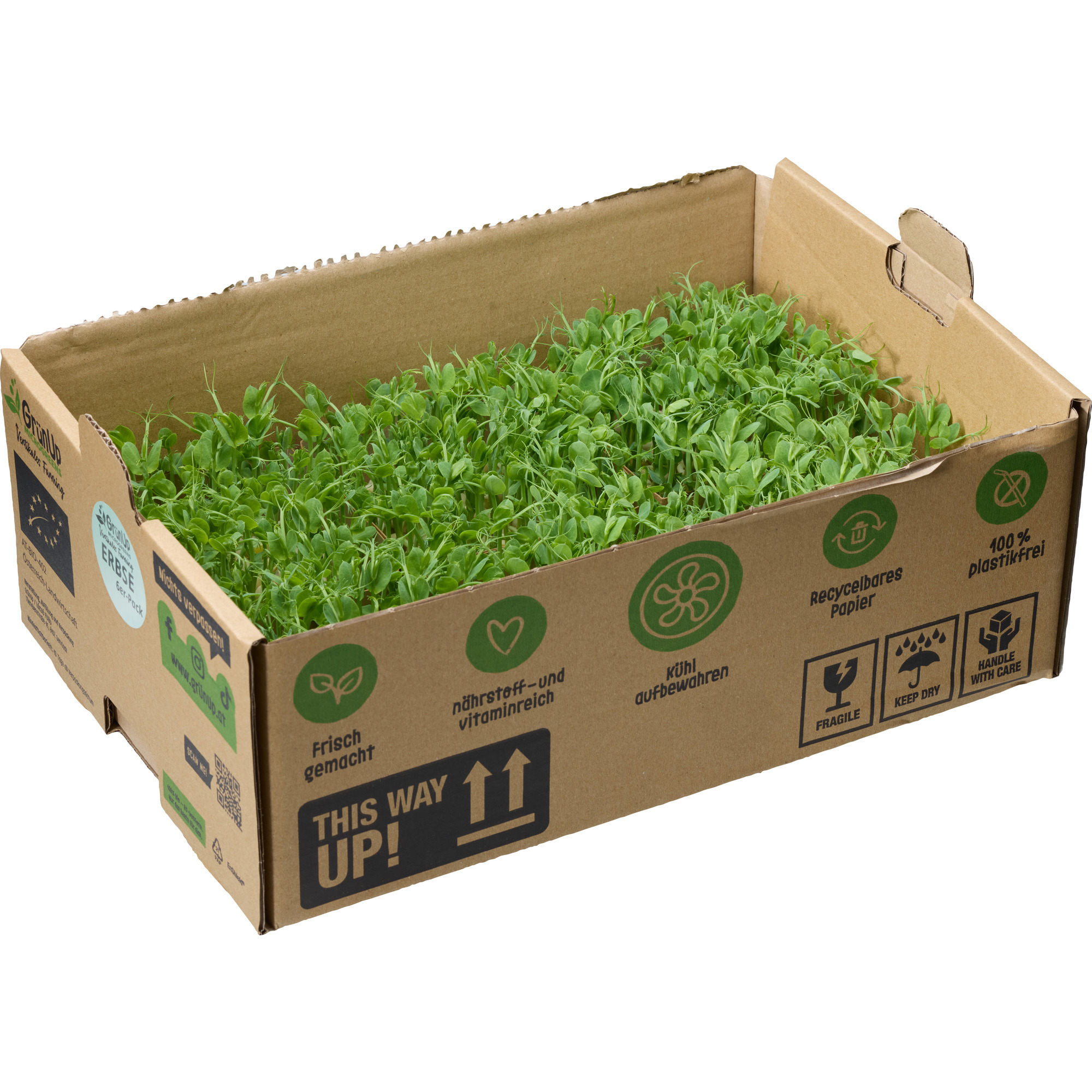 GrünUp Bio Erbsen Kresse Single KL.2