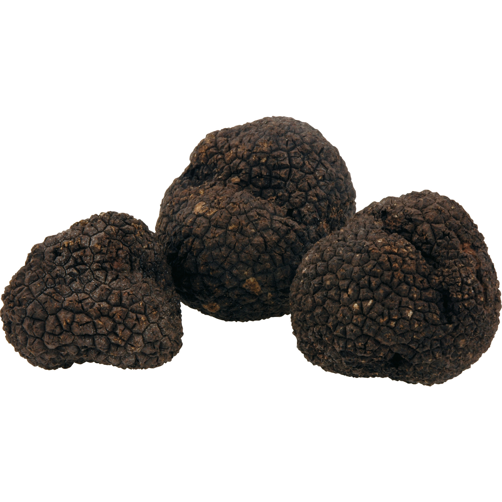 Herbst Trüffel schwarz KL.2