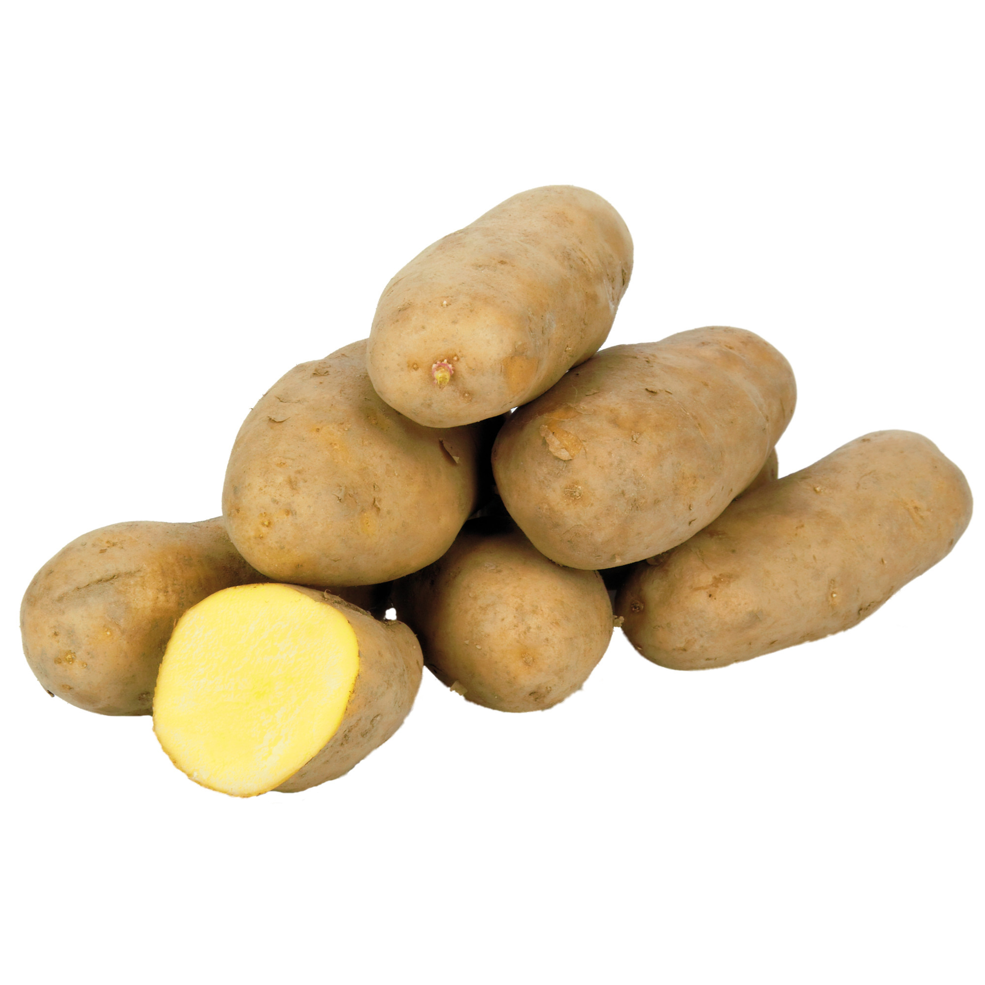 Einlagerungskartoffel 25kg festk.   KL.1