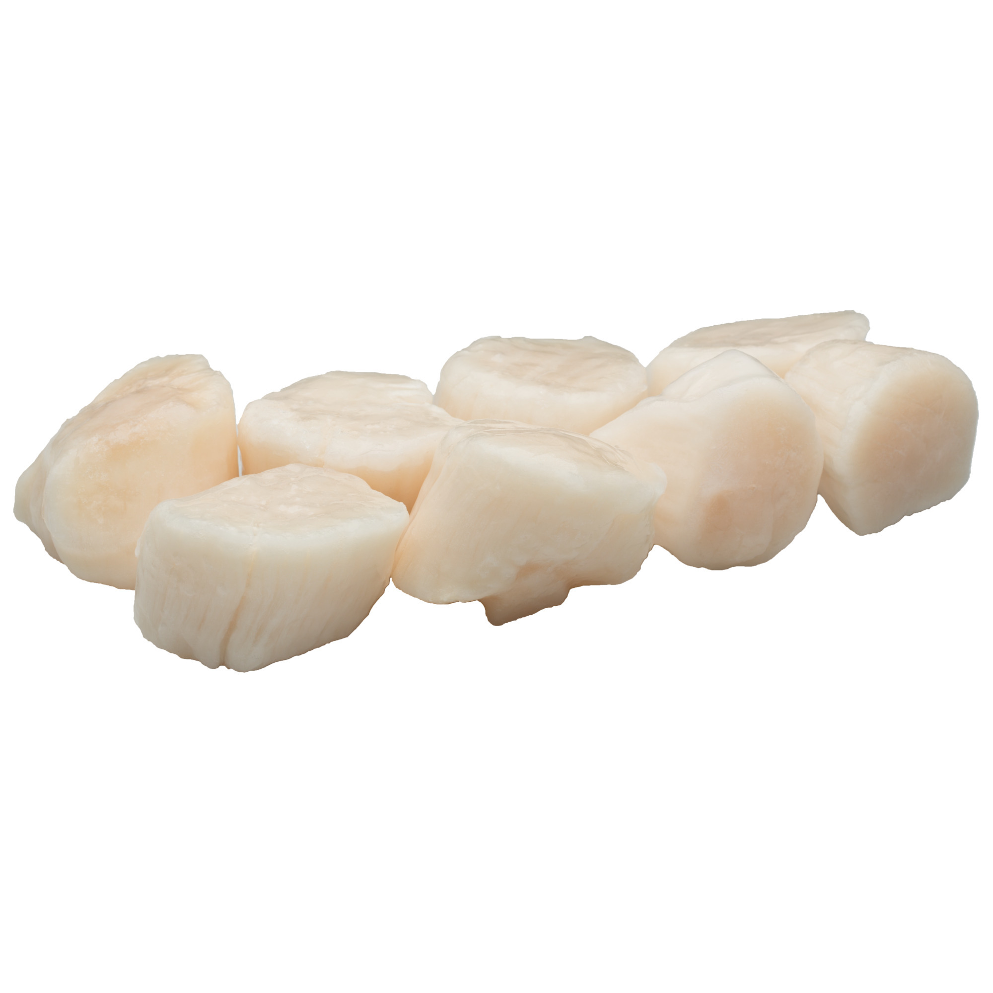 MSC Jakobsmuschelfleisch U10 TK 1kg
