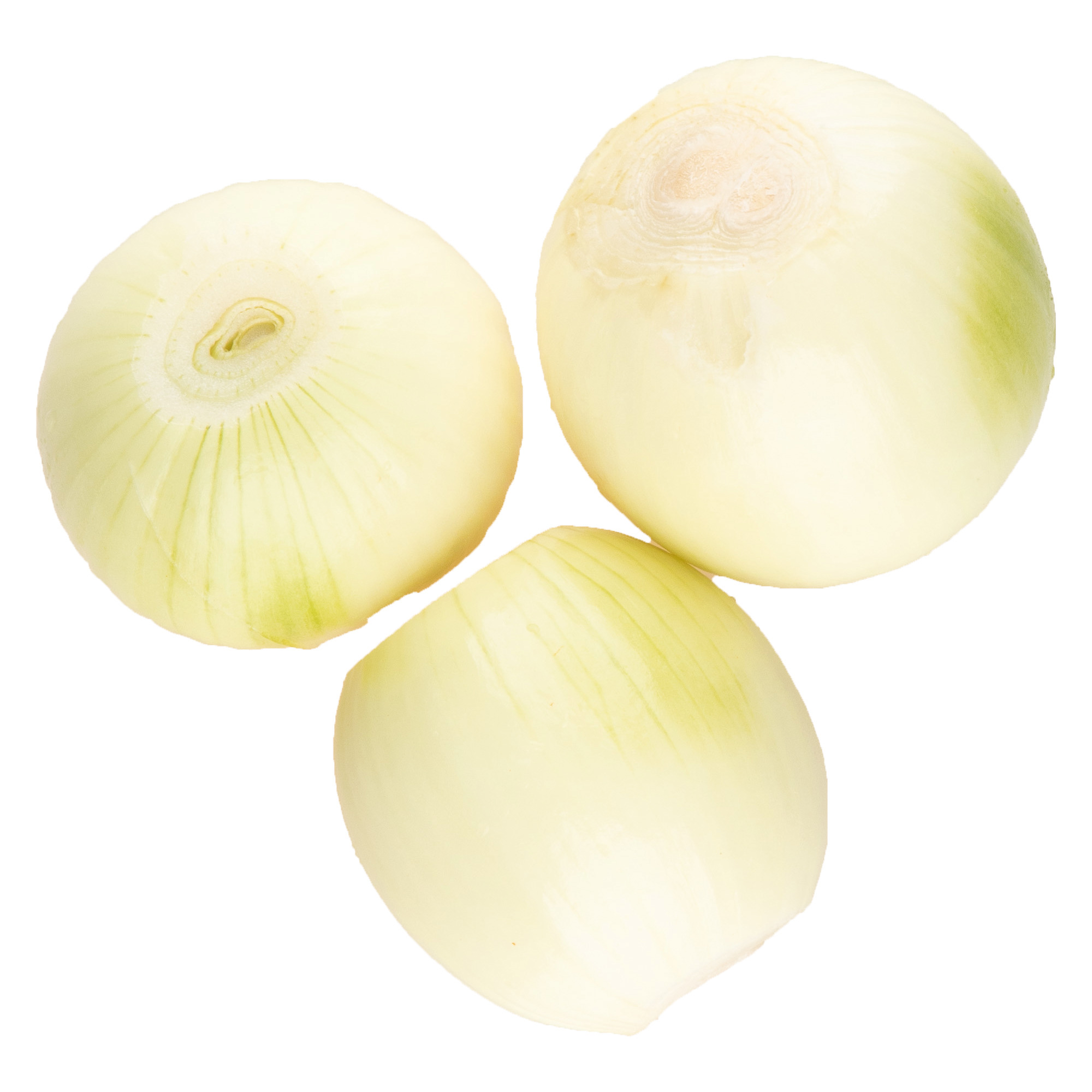 Quality Zwiebel weiss geschält 3kg
