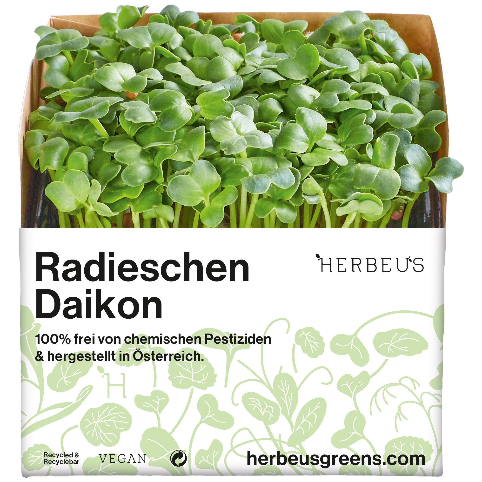 Herbeus Radieschen Daikon Kresse Single
