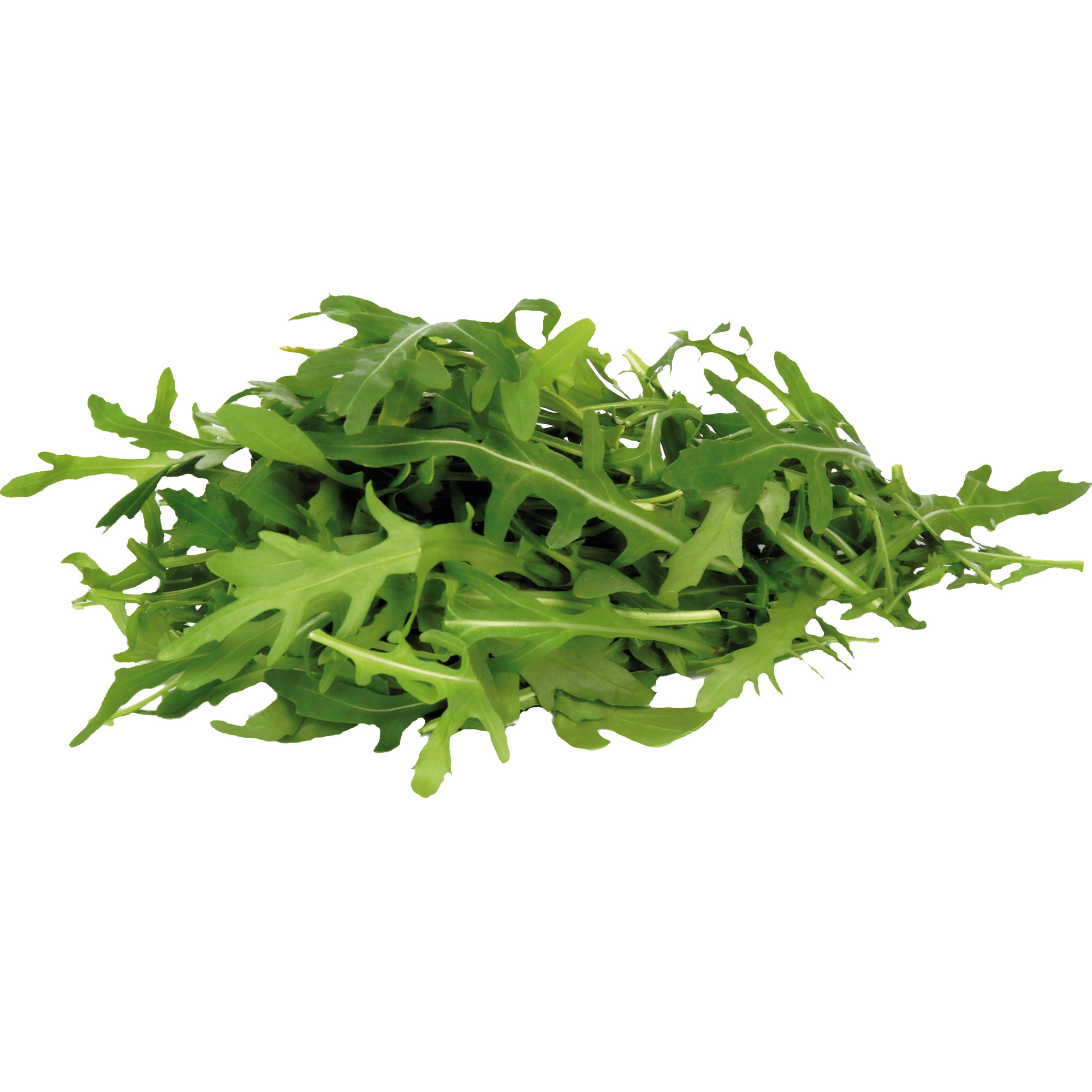 Natura Bio Rucola KL.2     100g