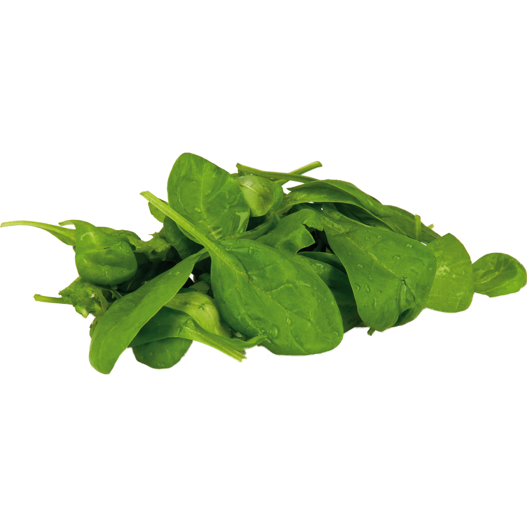 Natura Bio Baby Spinat KL.2   100g