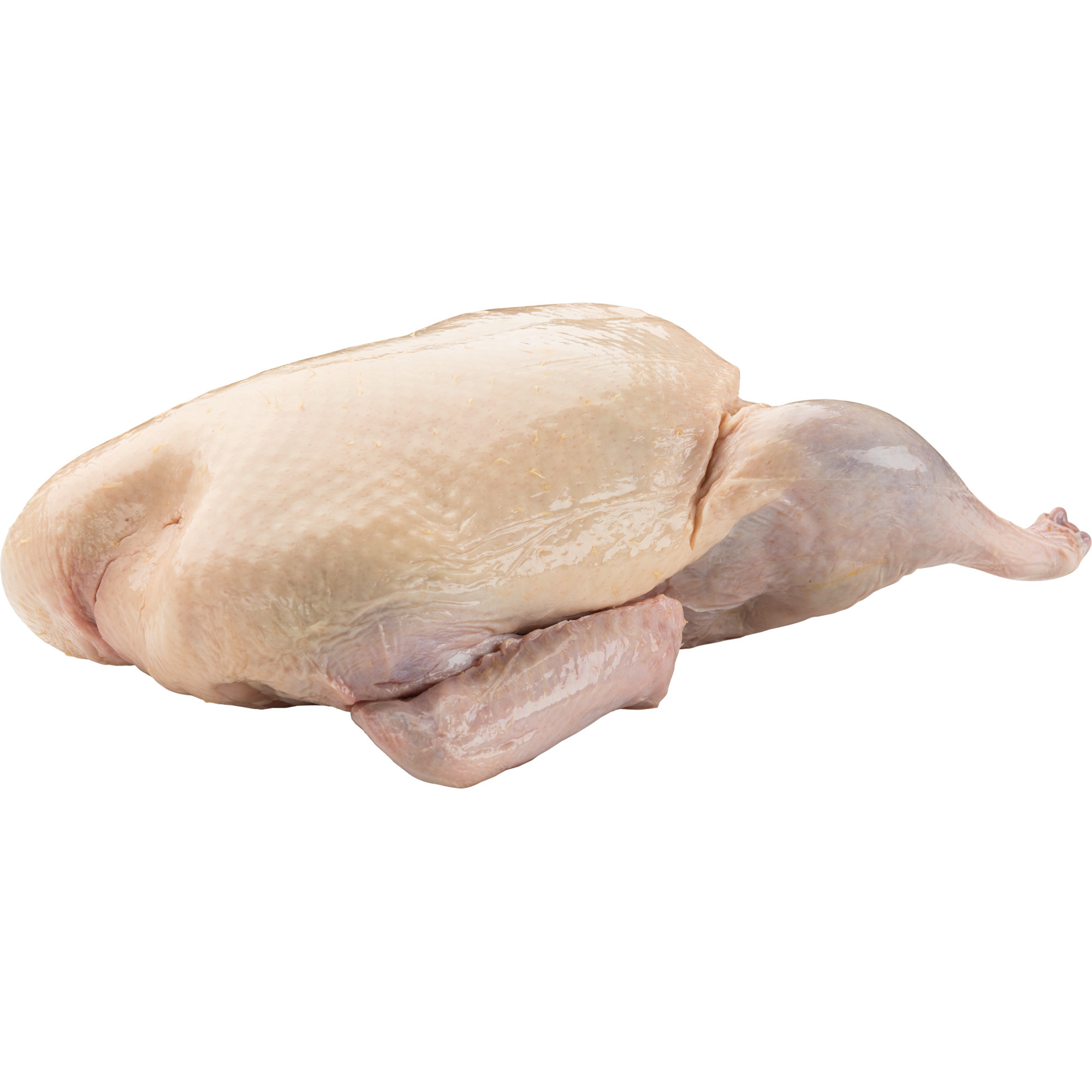 Weideente AT ca.2,5kg