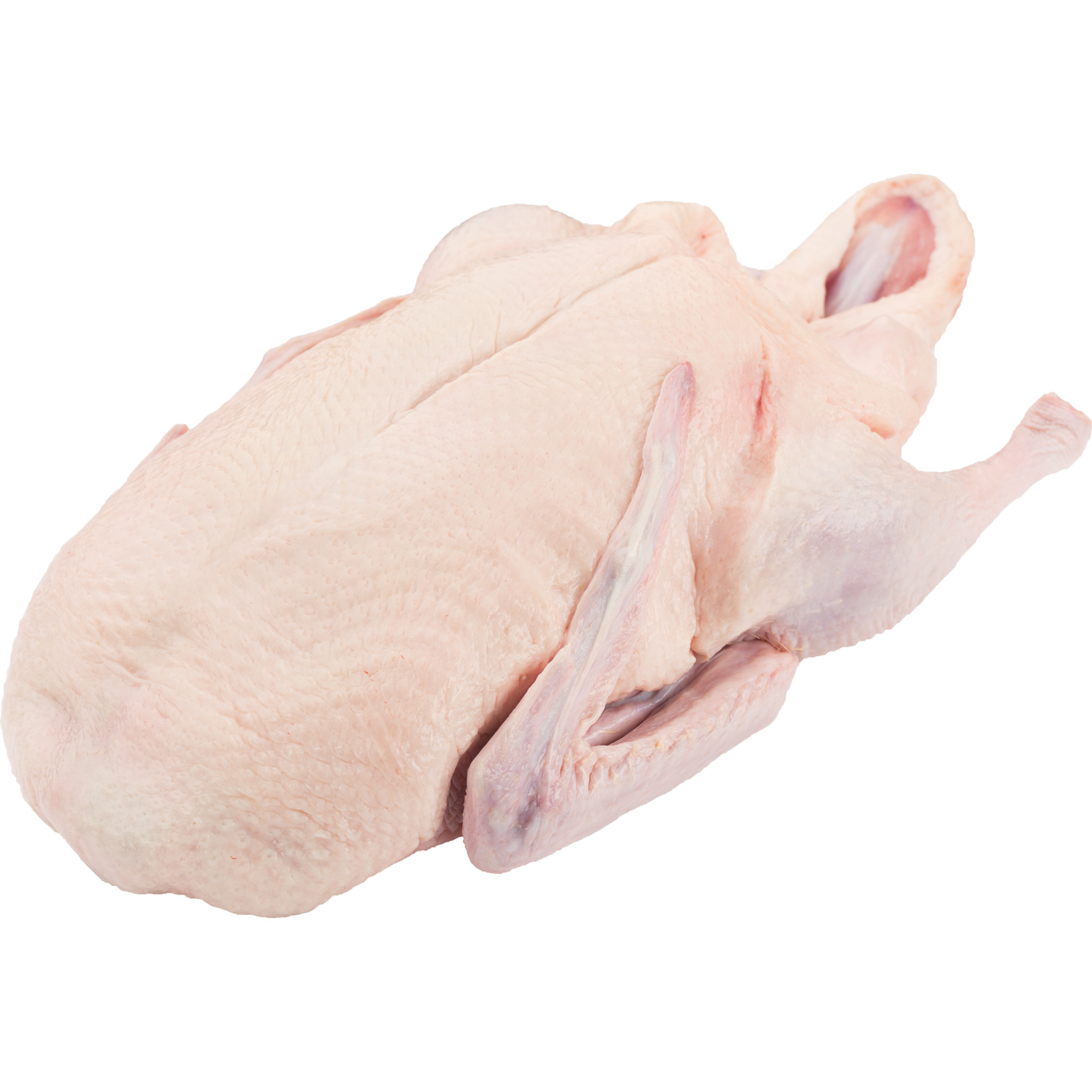 Ente grillf. HU TK 1,8kg