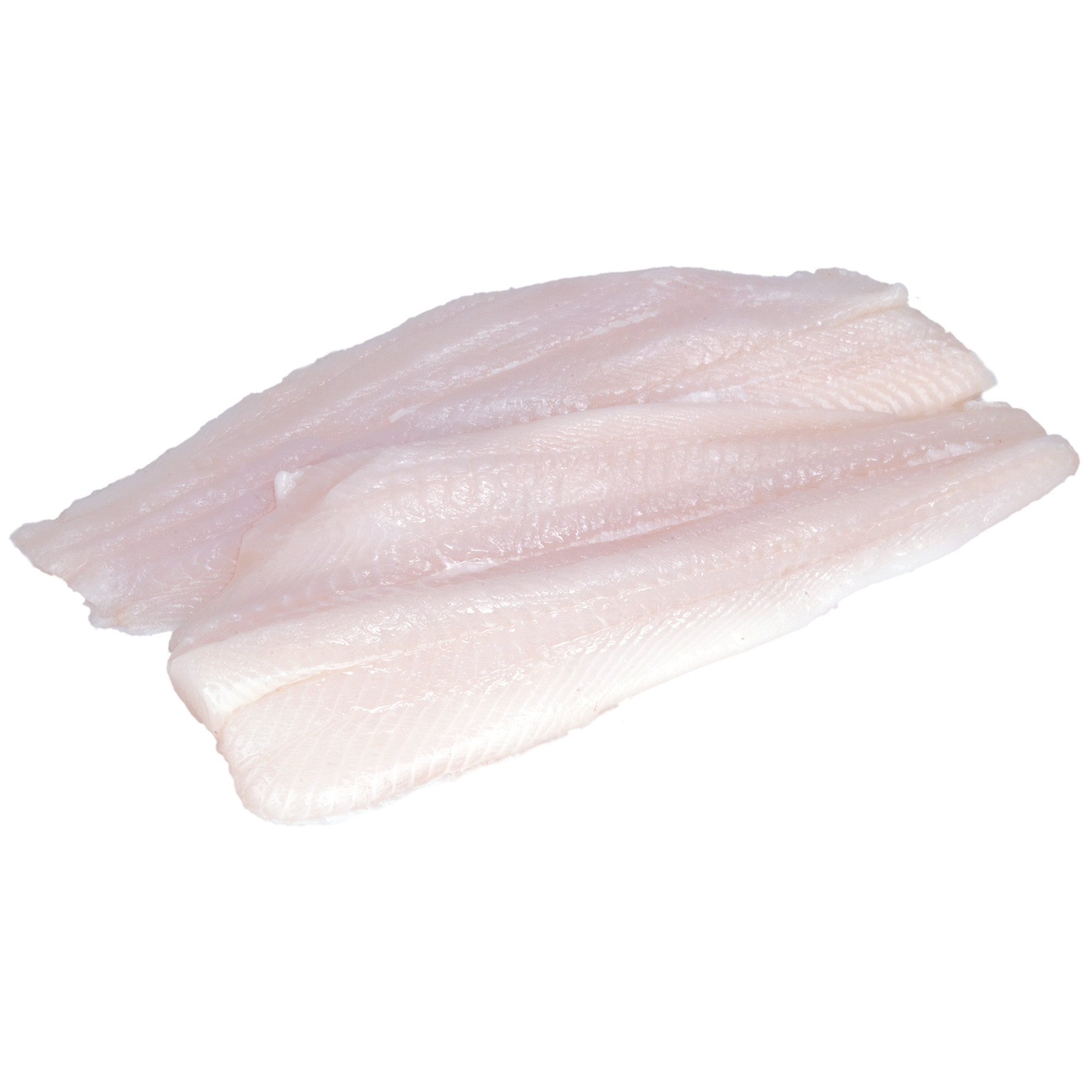 MSC Heilbuttfilet oH 200/400g TK 4kg