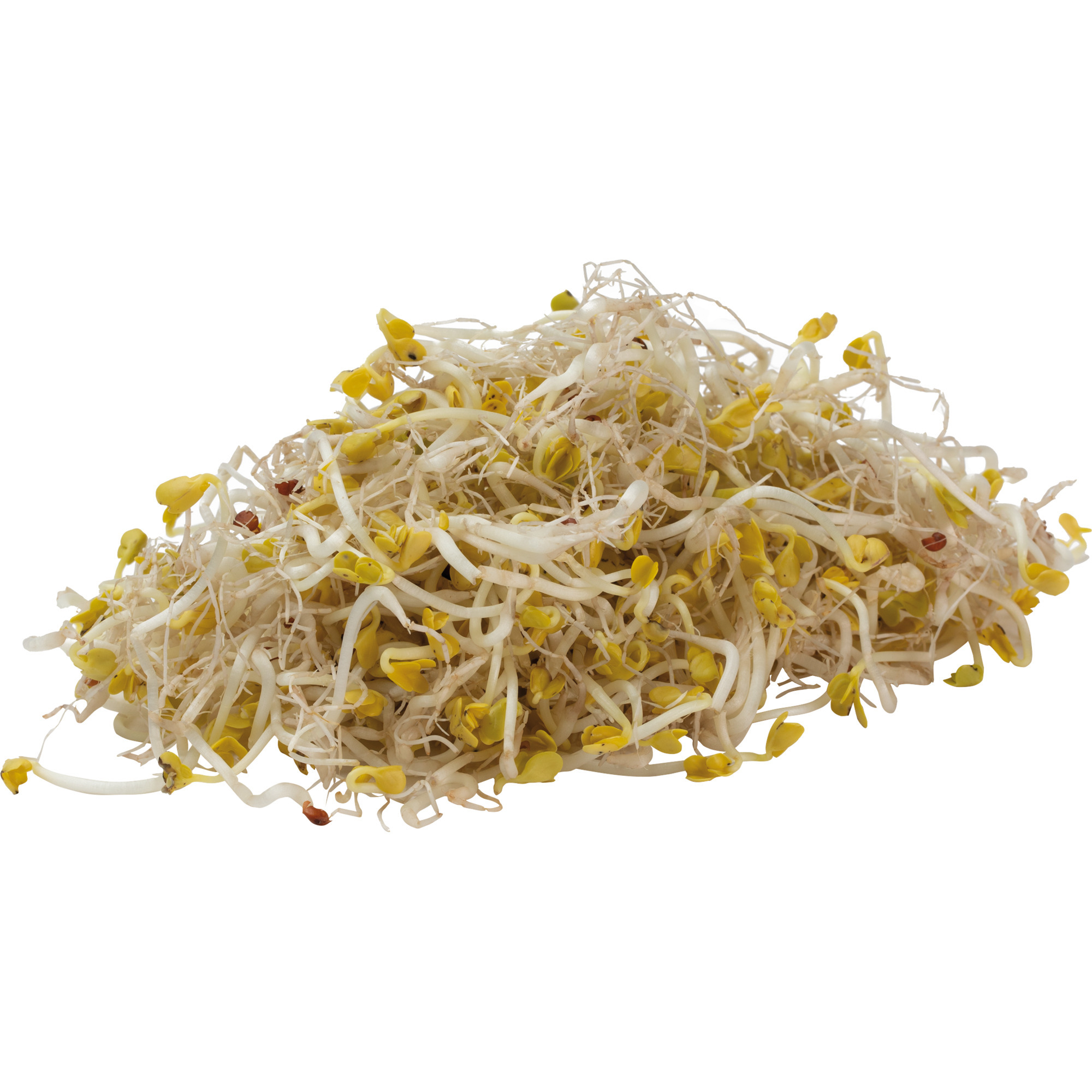 Radieschensprossen KL.1     500g