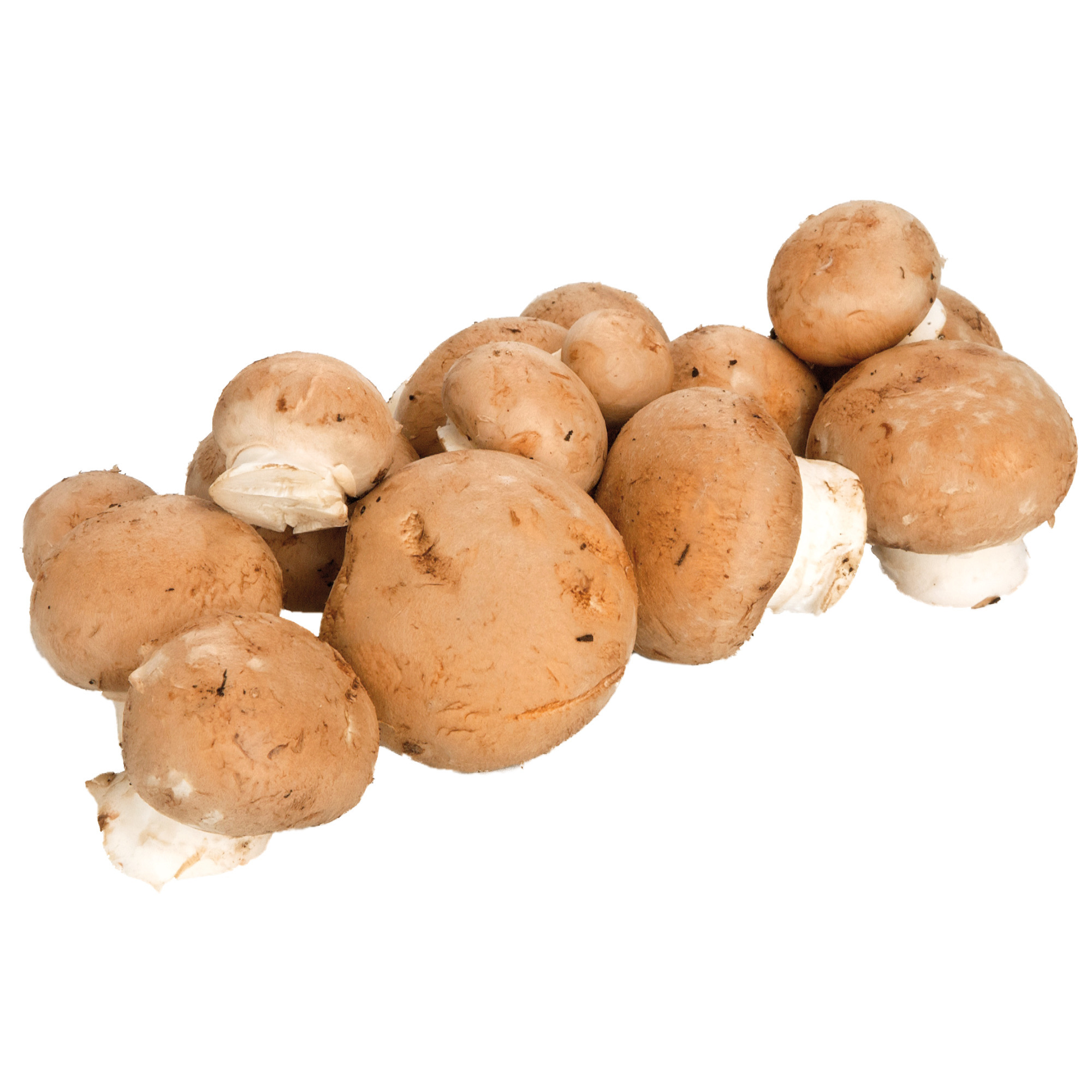 Natura Bio Cremechampignon KL.2   500g