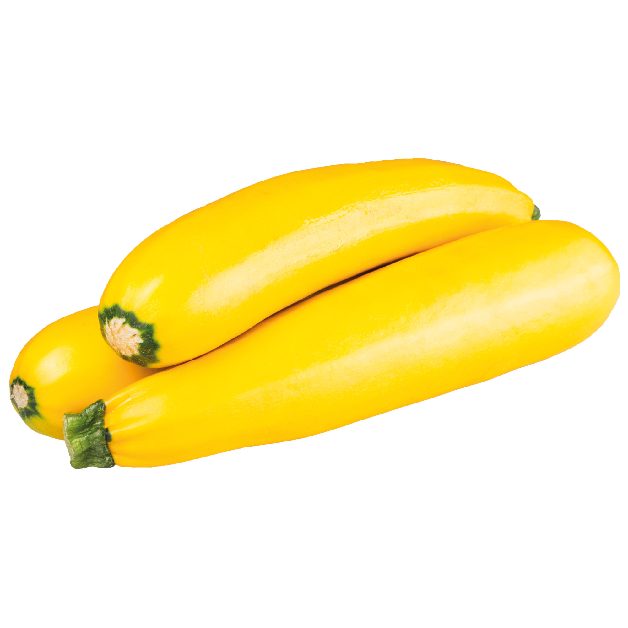 Natura Bio Zucchini KL.2
