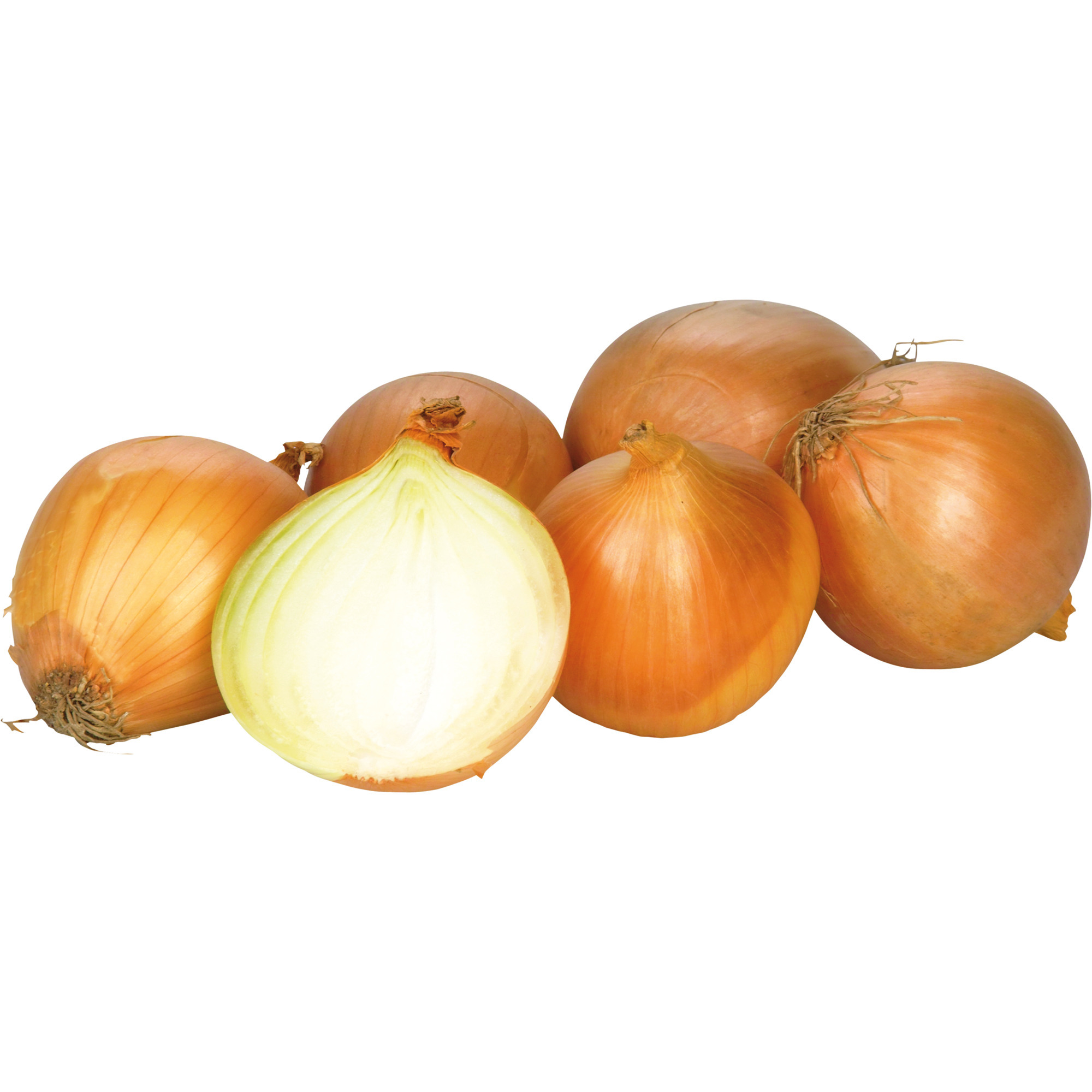 Bio Zwiebel KL.2     750g