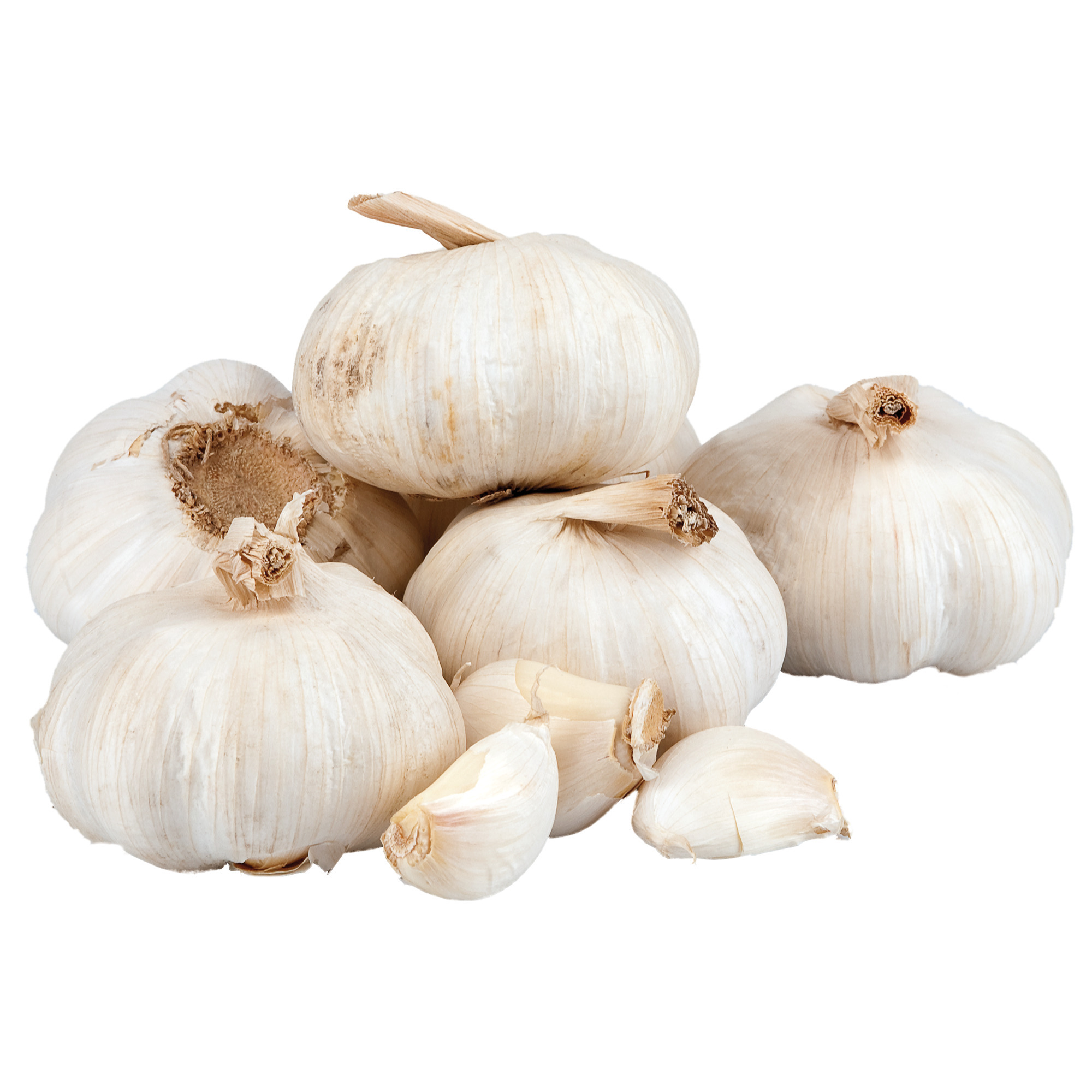 Bio Knoblauch KL.2     150g