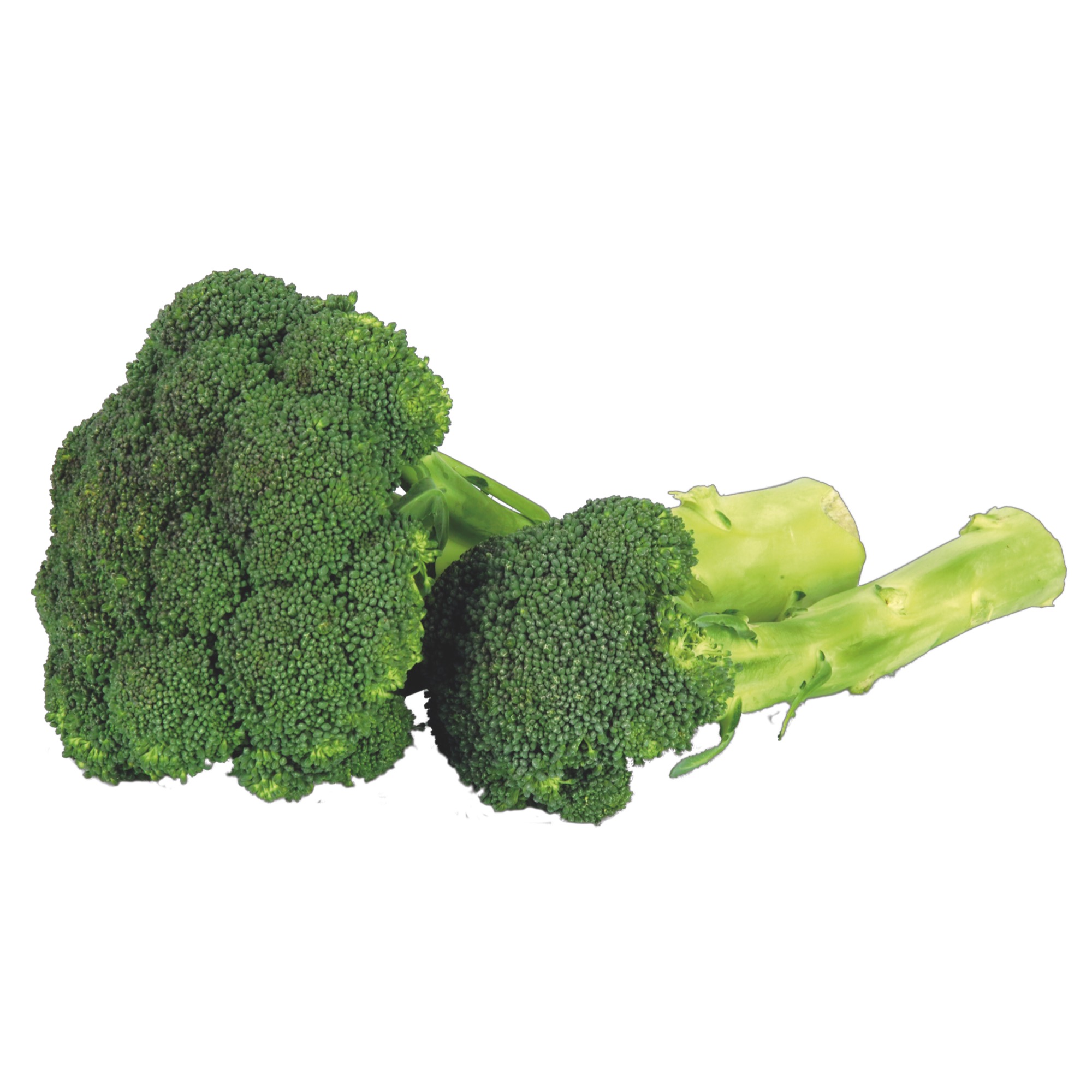 Brokolica 1. tr. 500 g