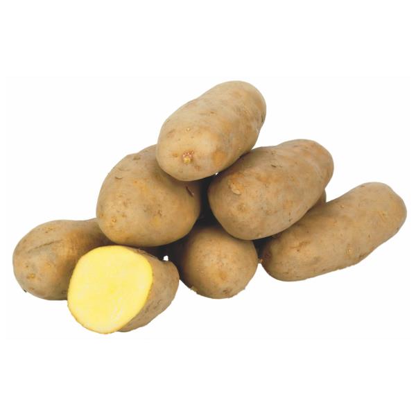 Zemiaky Gastro pevné 1. tr. 25kg