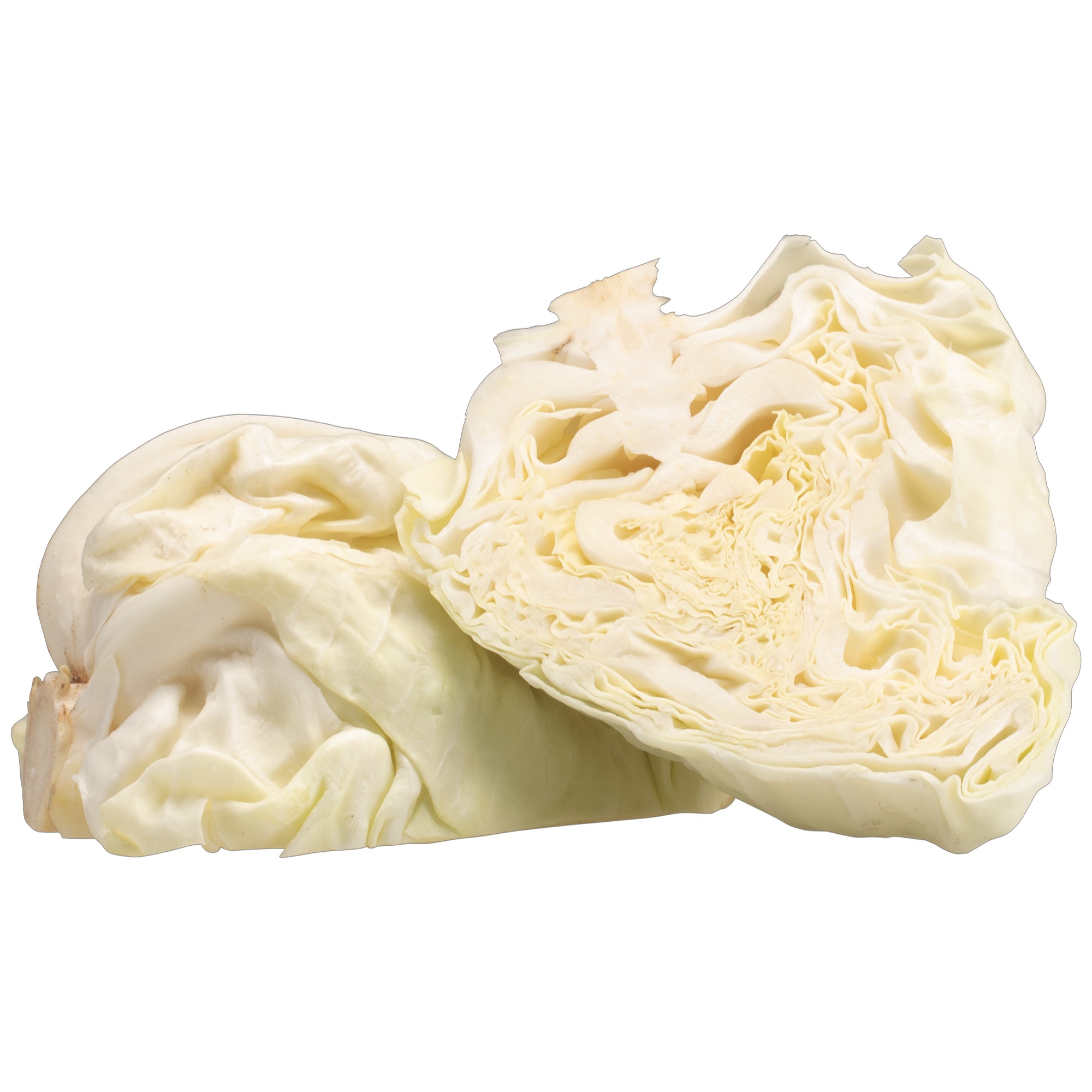 Kapusta špicatá 1.tr.